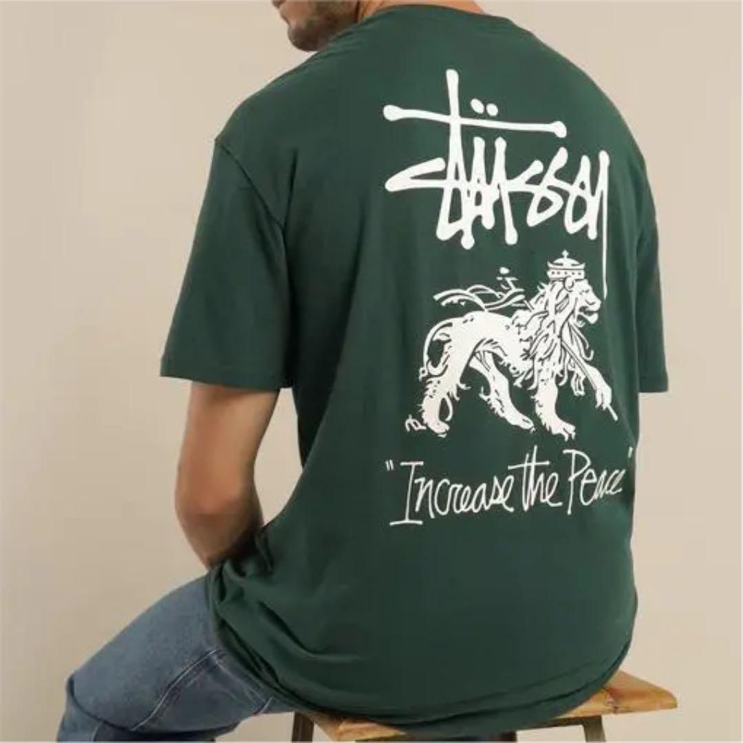 新品 日本未発売 ステューシー Tシャツ Stussy ダークグリーン 緑 L