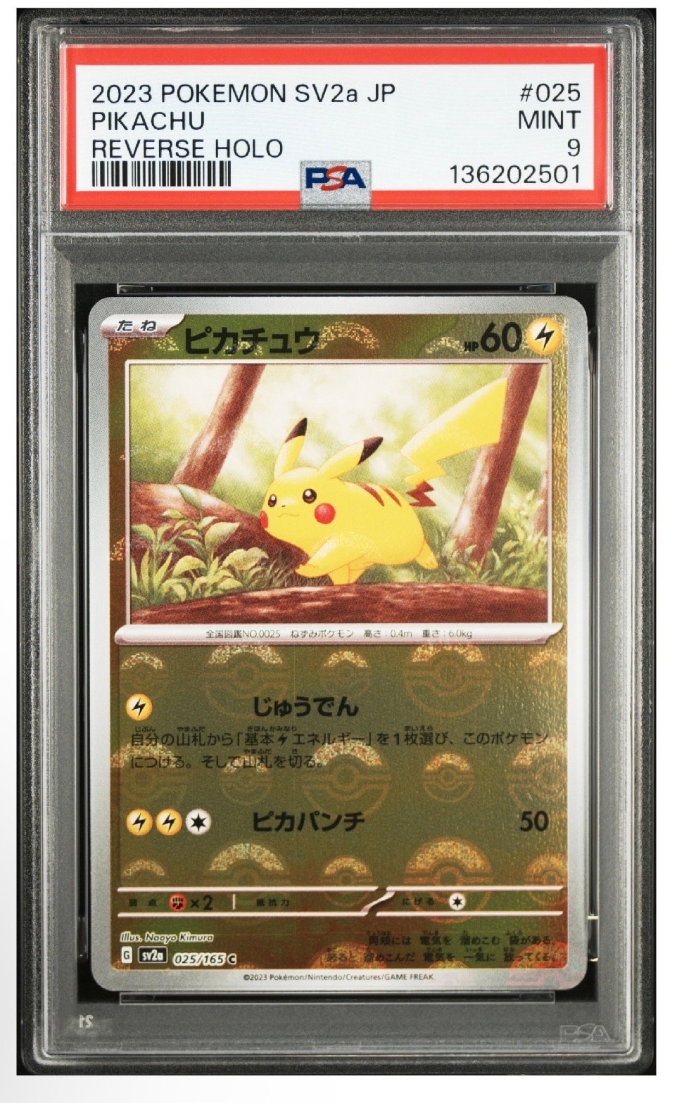 PSA10】トウホクのピカチュウ: プロモ[SM-P 088](プロモーションカード