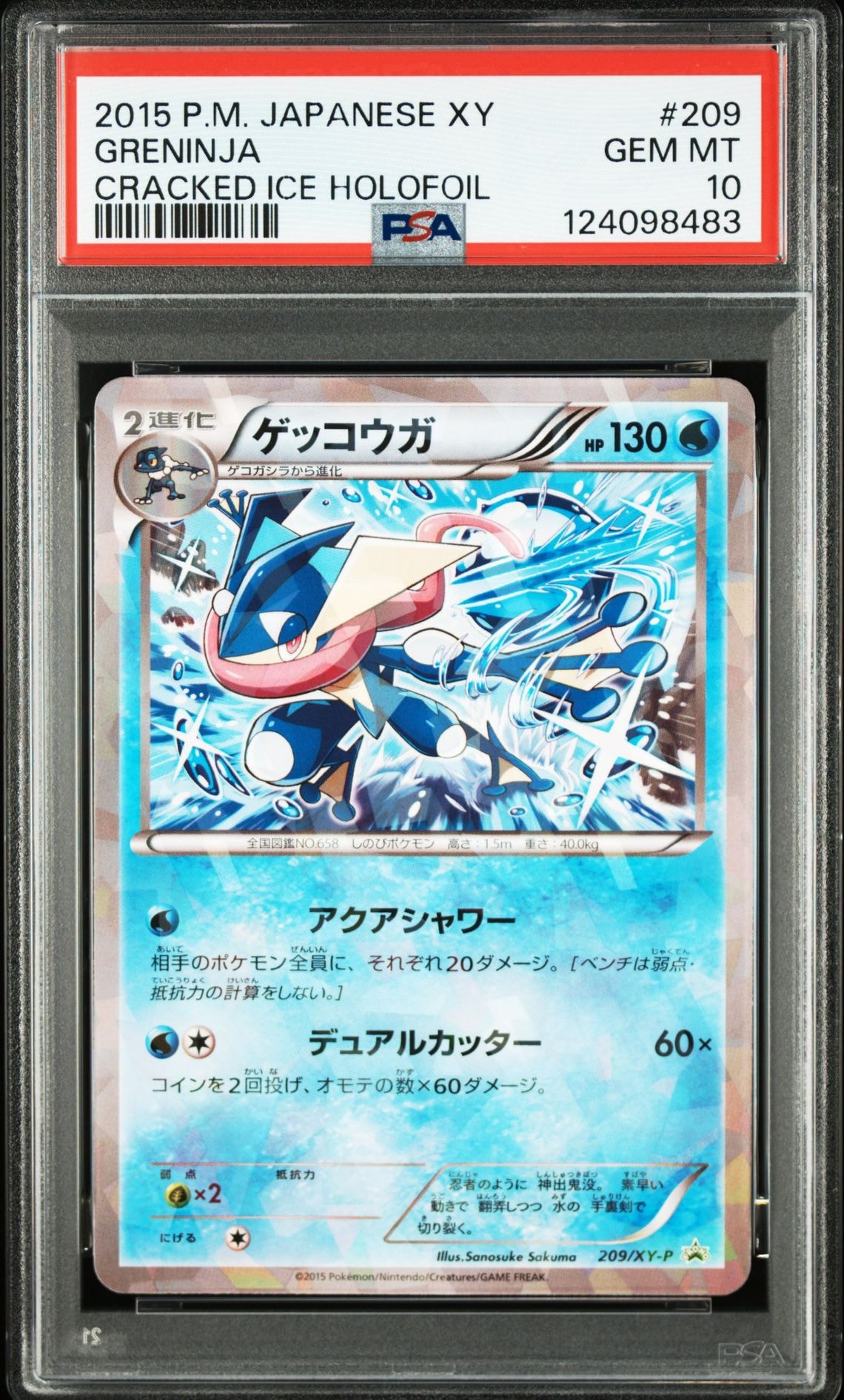 ゲッコウガ P [XY-P 209](プロモーションカード「ファミリーマート プレゼントキャンペーン オリジナルカード」)