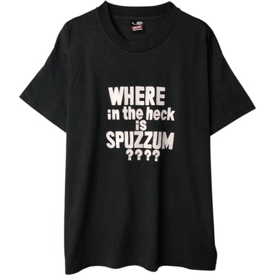 古着 90年代 フルーツオブザルーム FRUIT OF THE LOOM メッセージプリントTシャツ USA製 メンズL相当 ヴィンテージ/eaa649659