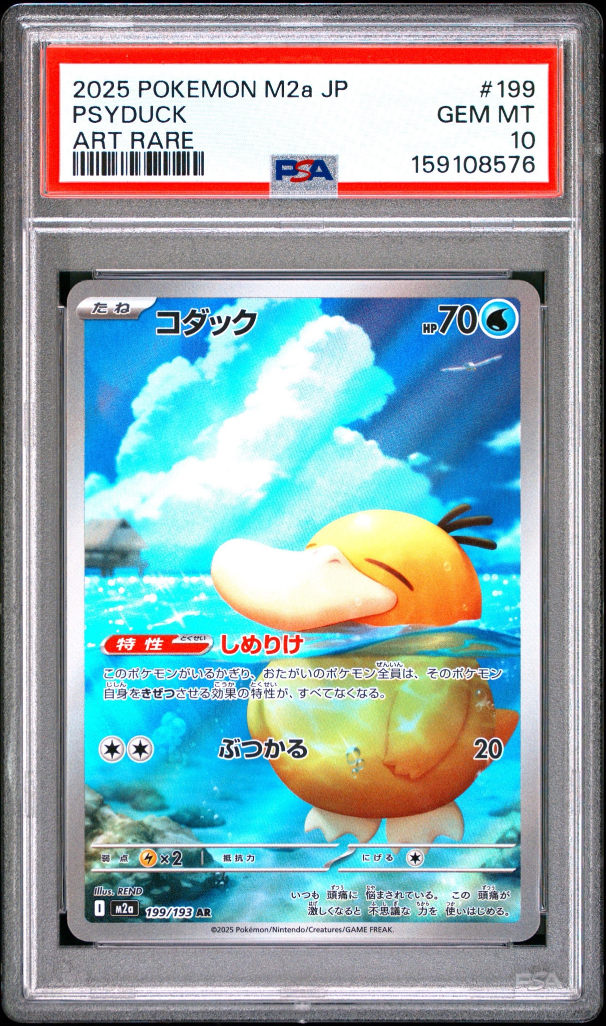 コダック AR [M2a 199/193](ハイクラスパック「MEGAドリームex」)通販