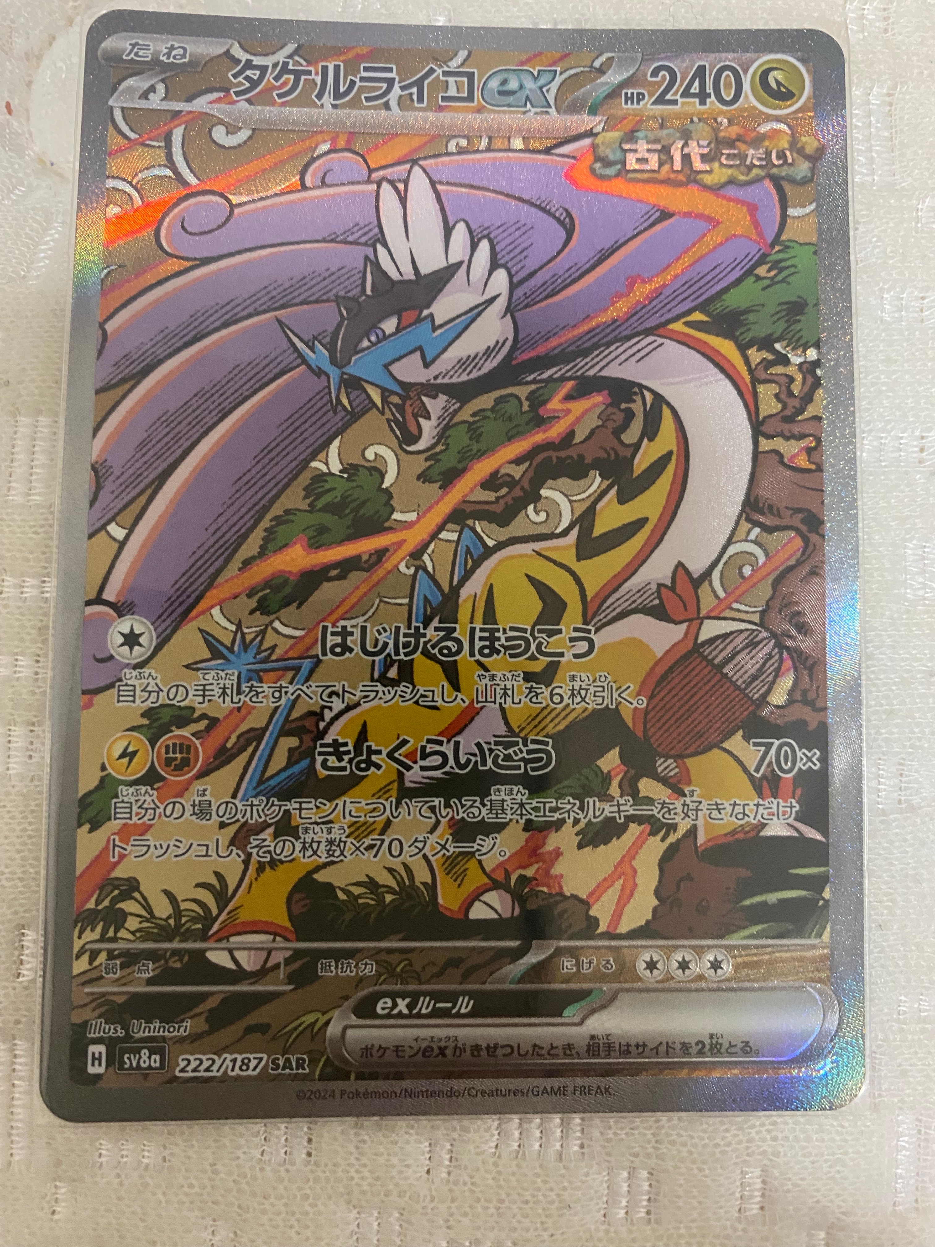 タケルライコex SAR [SV8a 222/187](ハイクラスパック「テラスタル