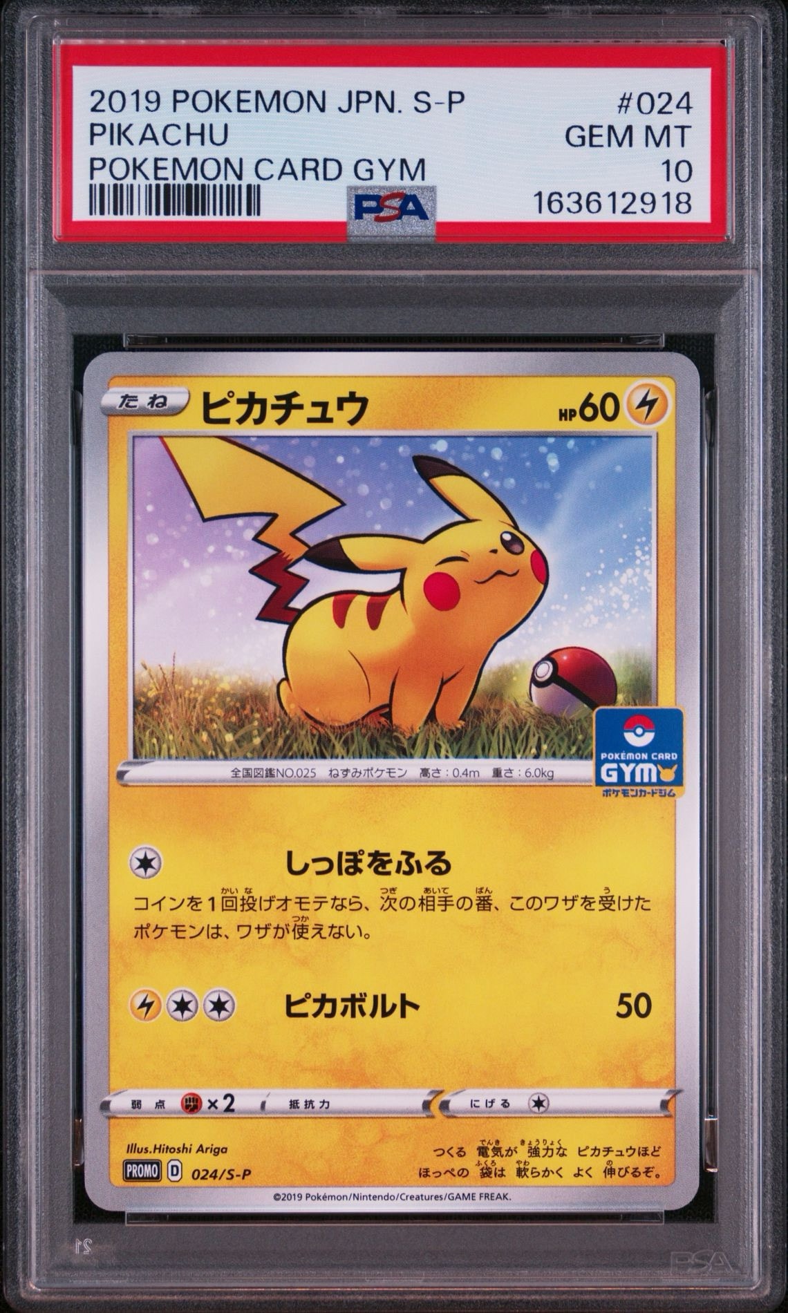 ピカチュウ: プロモ P [S-P 024](ポケモンカードゲーム ソード