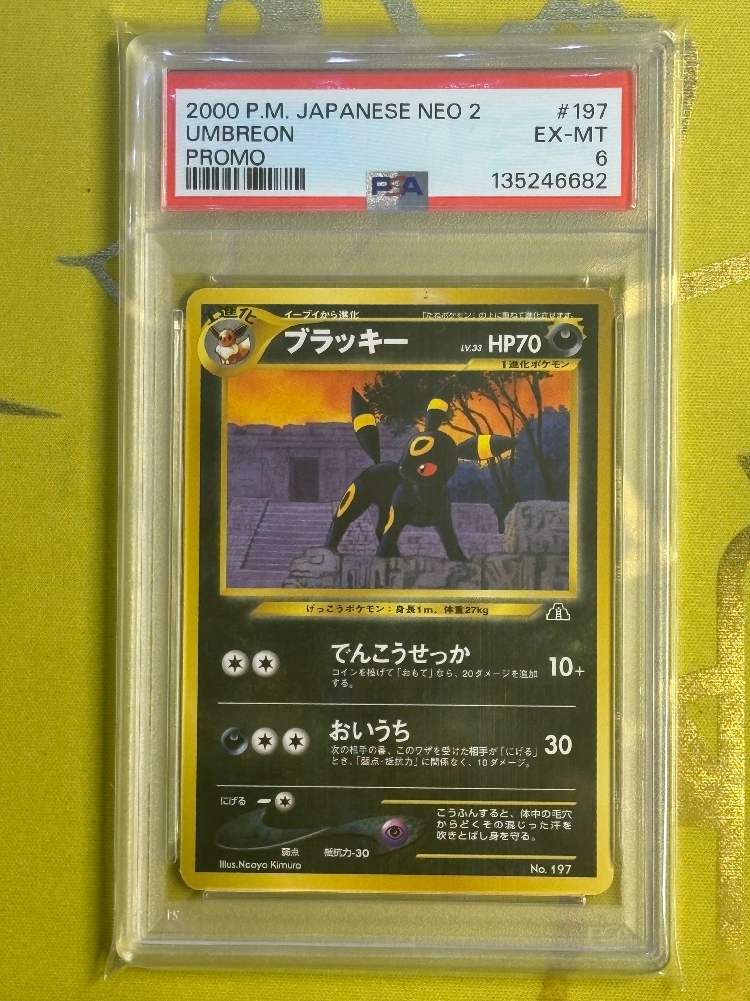 A（きれいな状態）】ブラッキープレミアムファイル2: 旧裏[neoP2 No