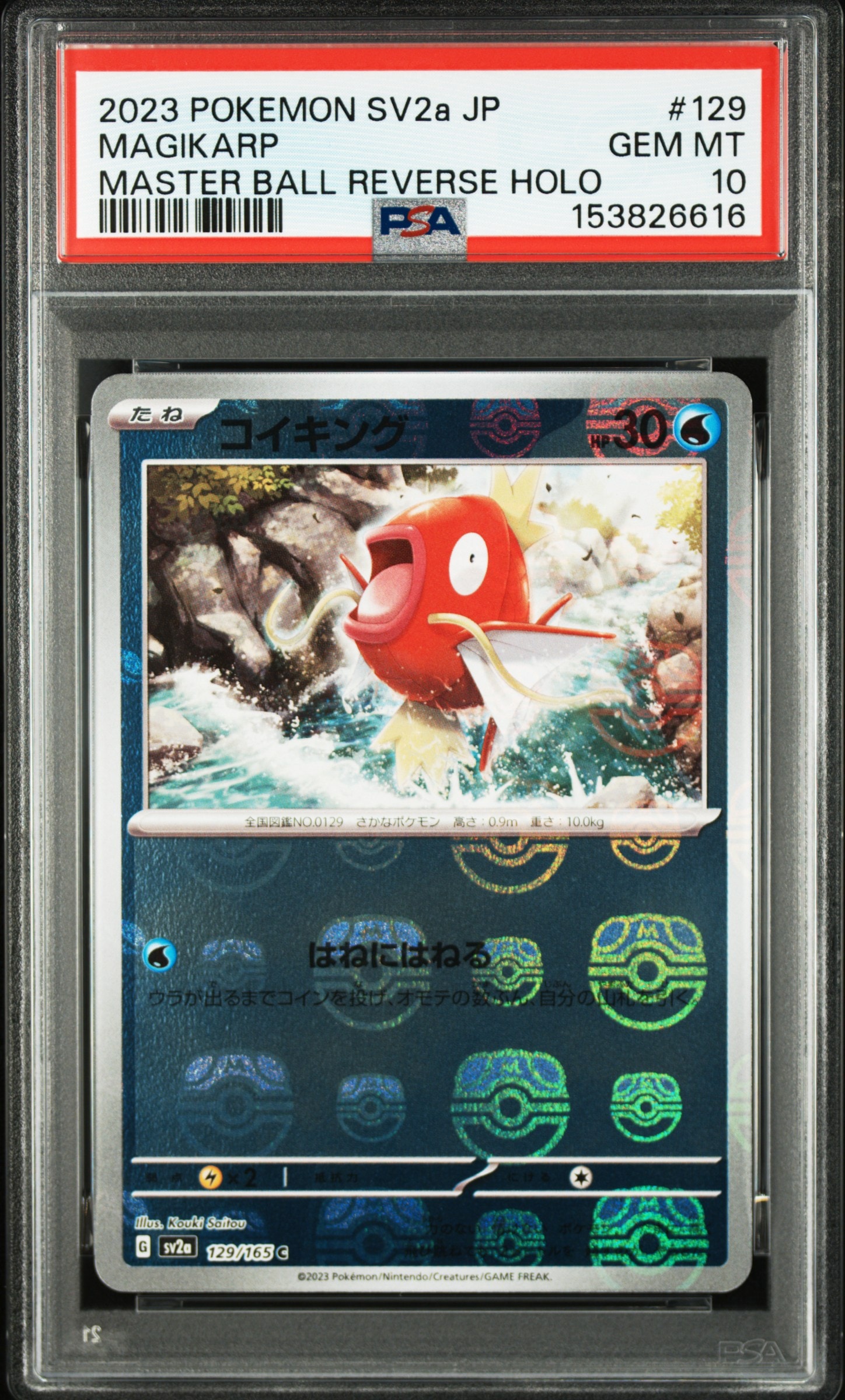 オムナイト AR[SV2a 180/165](強化拡張パック「ポケモンカード151」)の