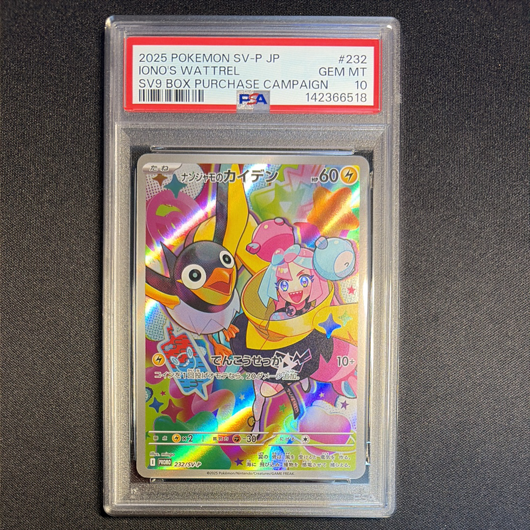 センパイとコウハイ SR :1ED [XY5-G 077/070](拡張パック「ガイア