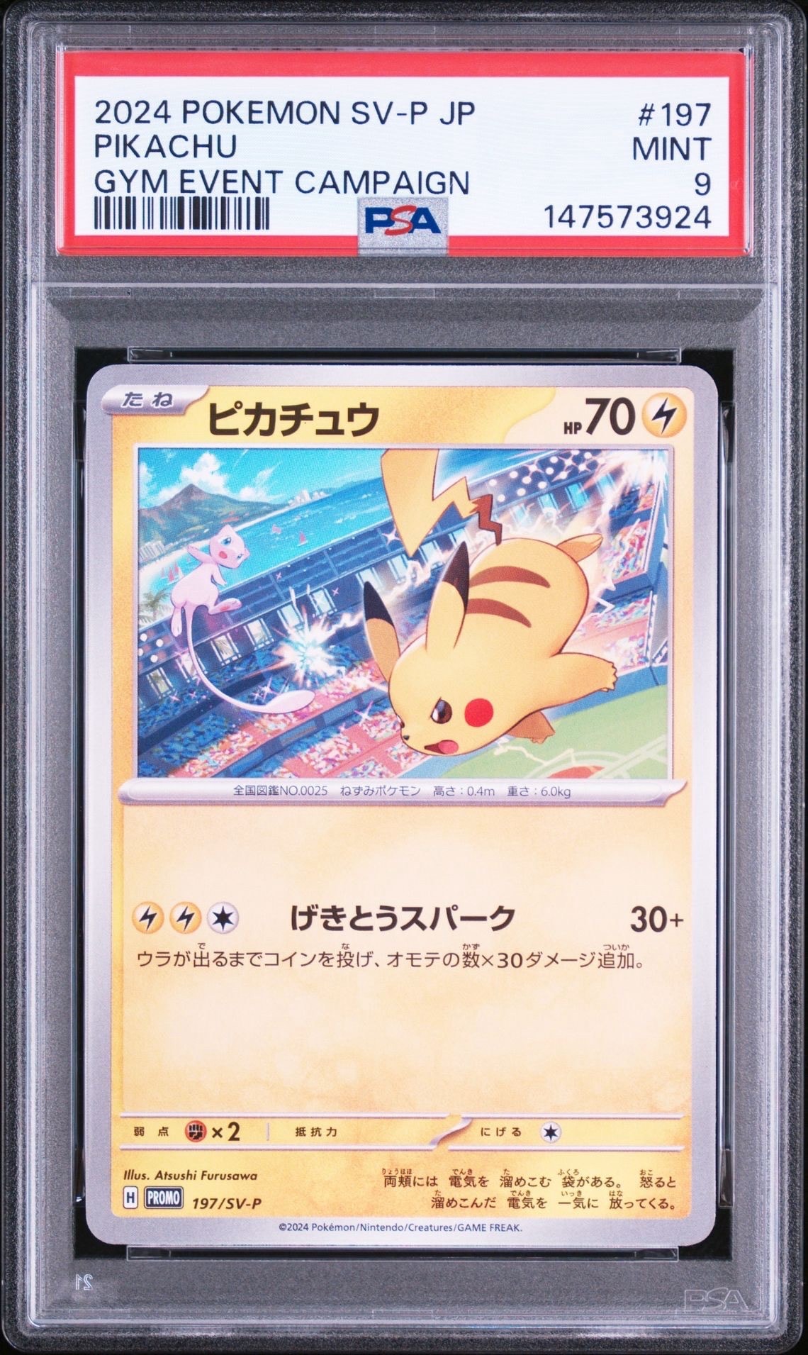 PSA10】ミカン SR[SM8a 058/052](強化拡張パック「ダークオーダー」) 1