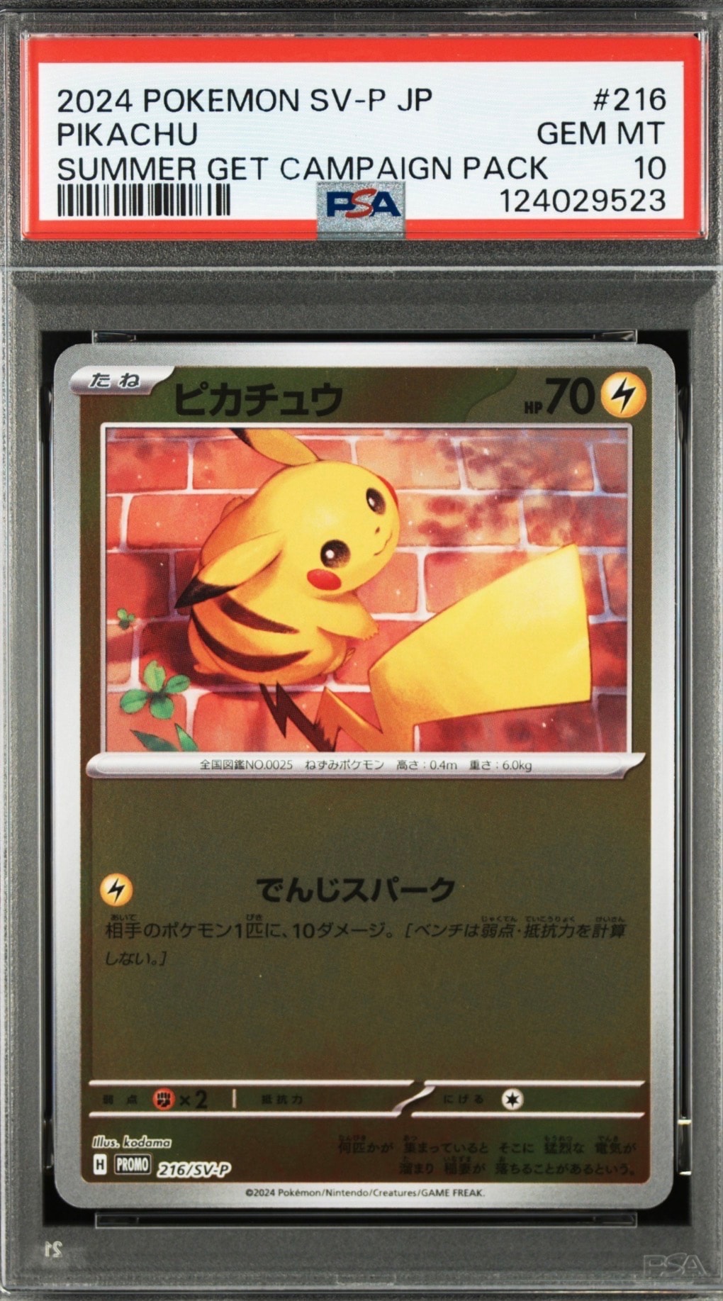 ピカチュウ P [SV-P 216](プロモカードパック「ポケカの夏がキタ!プロモカードGetキャンペーン!」)