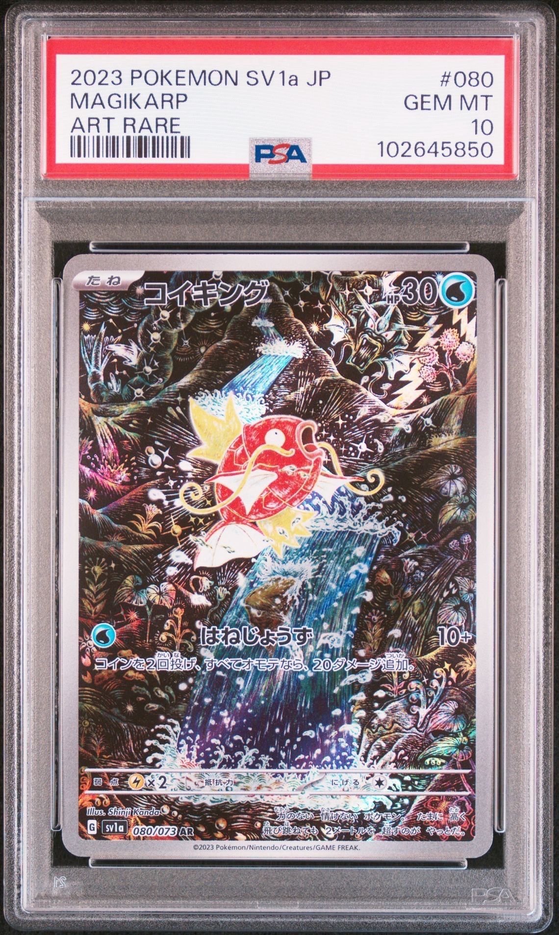 コイキング AR[SV1a 080/073](スカーレット&バイオレット 拡張パック「トリプレットビート」)