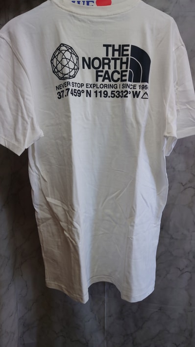 ザ ノースフェイス ザ・ノース・フェイス THE NORTH FACE Tシャツ
