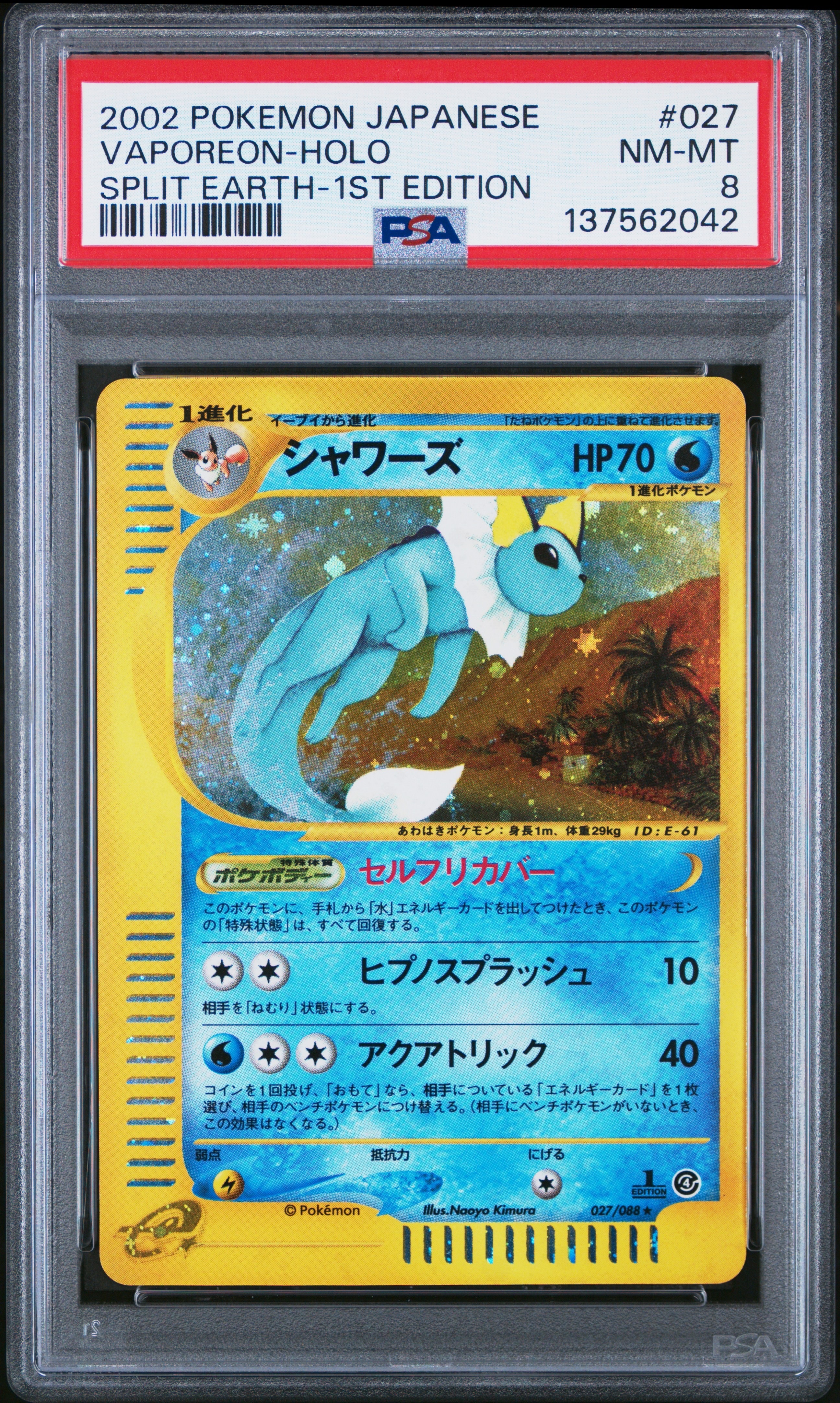 わるいカメックス ☆ [web 044/048](ポケモンカード☆web)の新品/中古