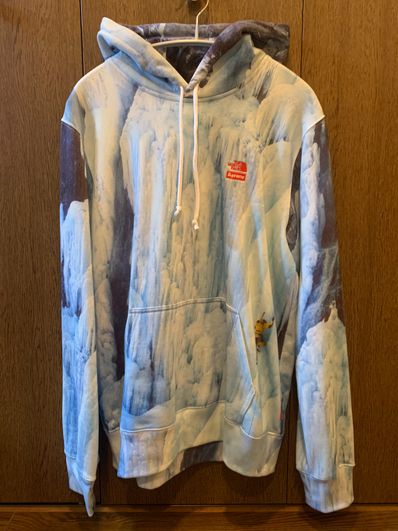 Supreme x The North Face Ice Climb Hooded Sweatshirt "Multi"