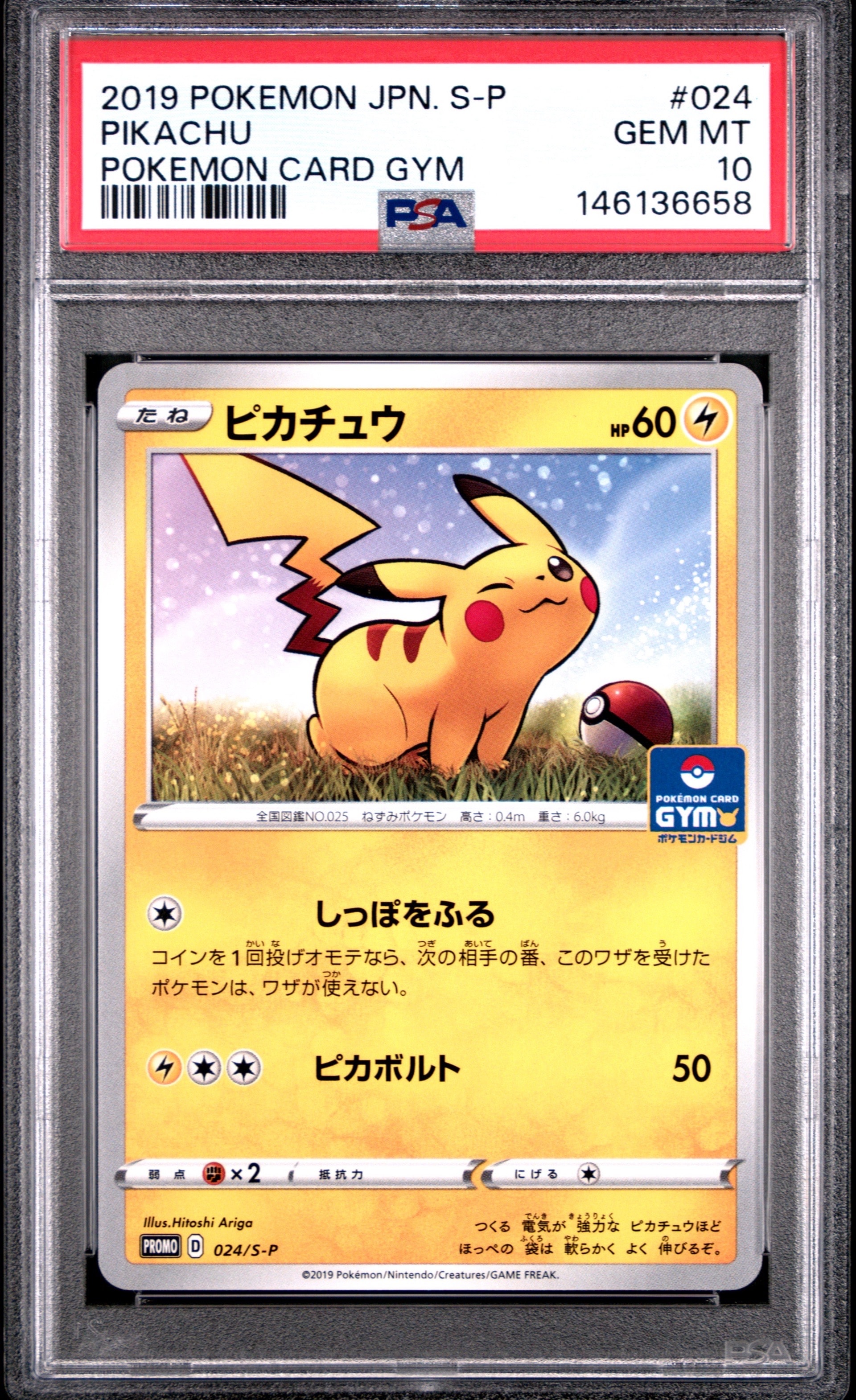 ピカチュウ: プロモ P [S-P 024](ポケモンカードゲーム ソード&シールド 「プロモカードパック 第1弾」)