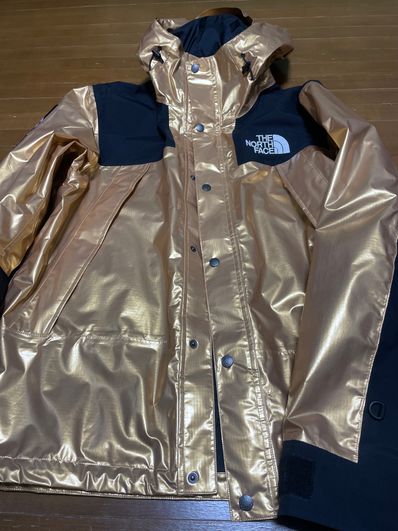 Supreme x The North Face Metallic Mountain Parka "Gold"