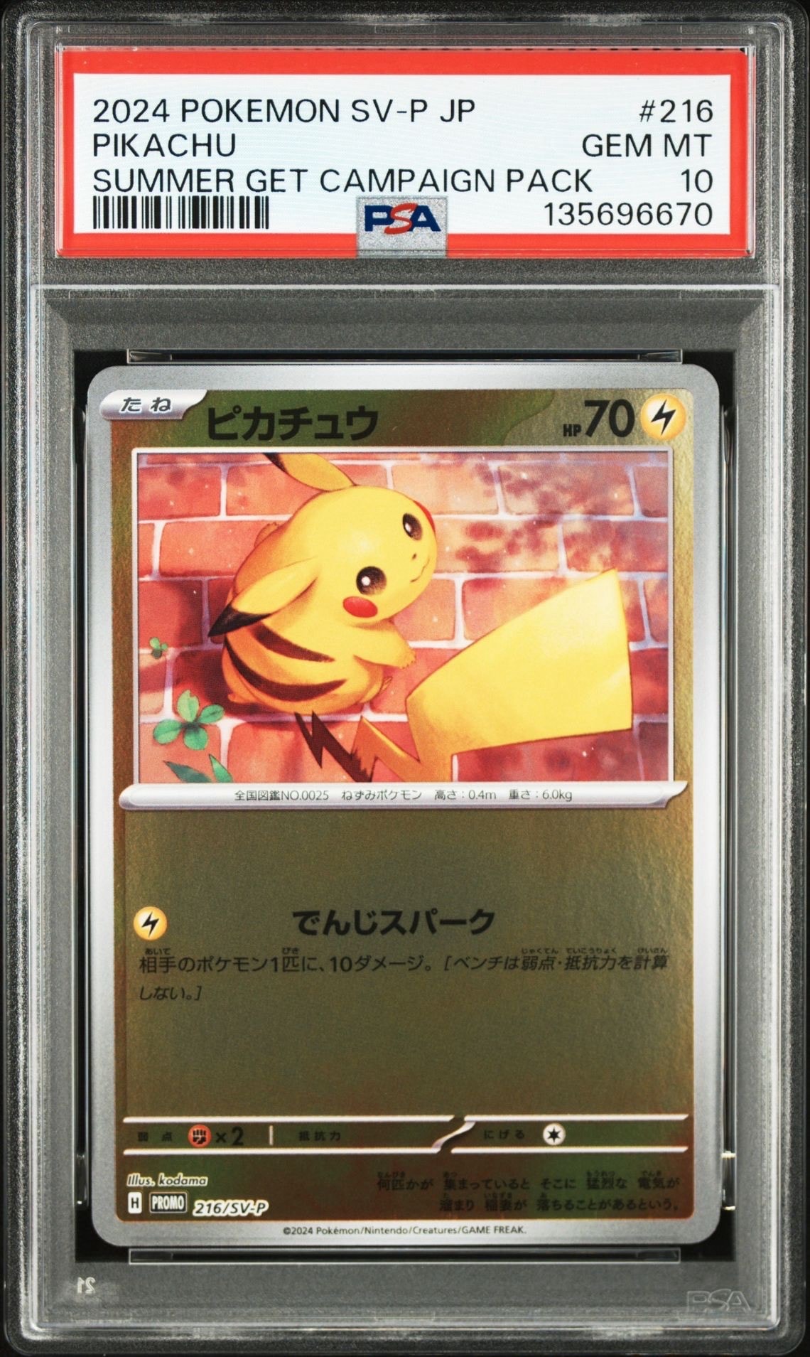 ピカチュウ P [SV-P 216](プロモカードパック「ポケカの夏がキタ!プロモカードGetキャンペーン!」)