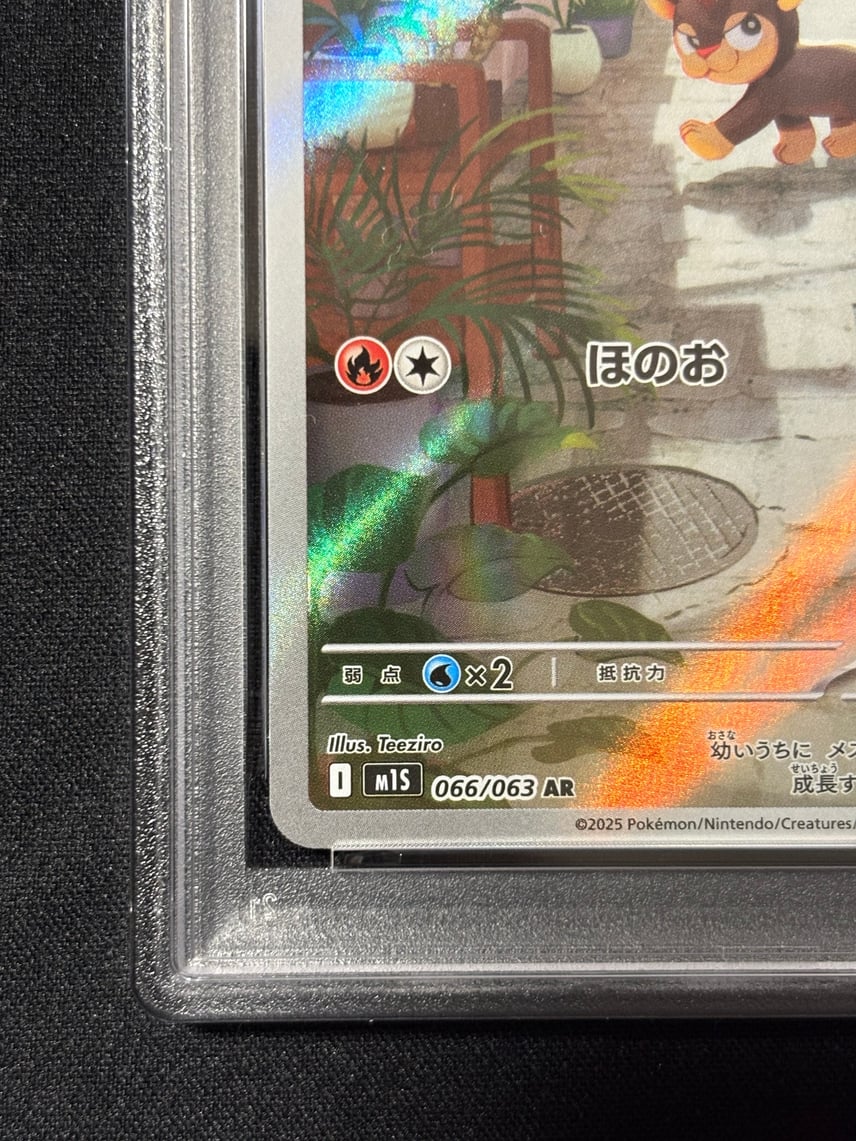 ニダンギル AR MEGA シシコ AR psa10 2枚セット シシコ(066/063)[AR ニダンギル AR MEGA シシコ AR psa10 2枚セット シシコ(066/063)[AR