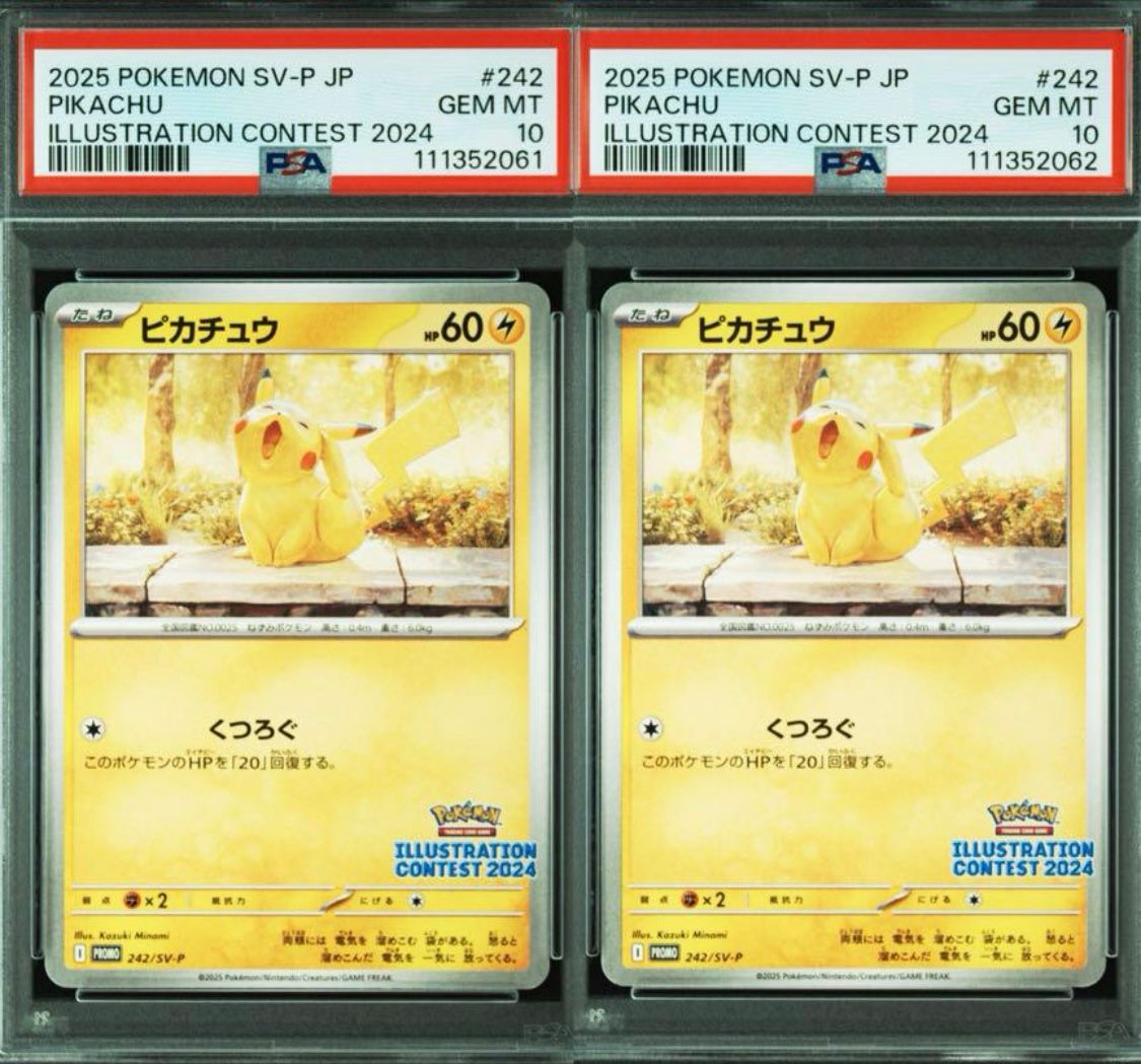 PSA10】ピカチュウ [SV-P 242](プロモカードパック