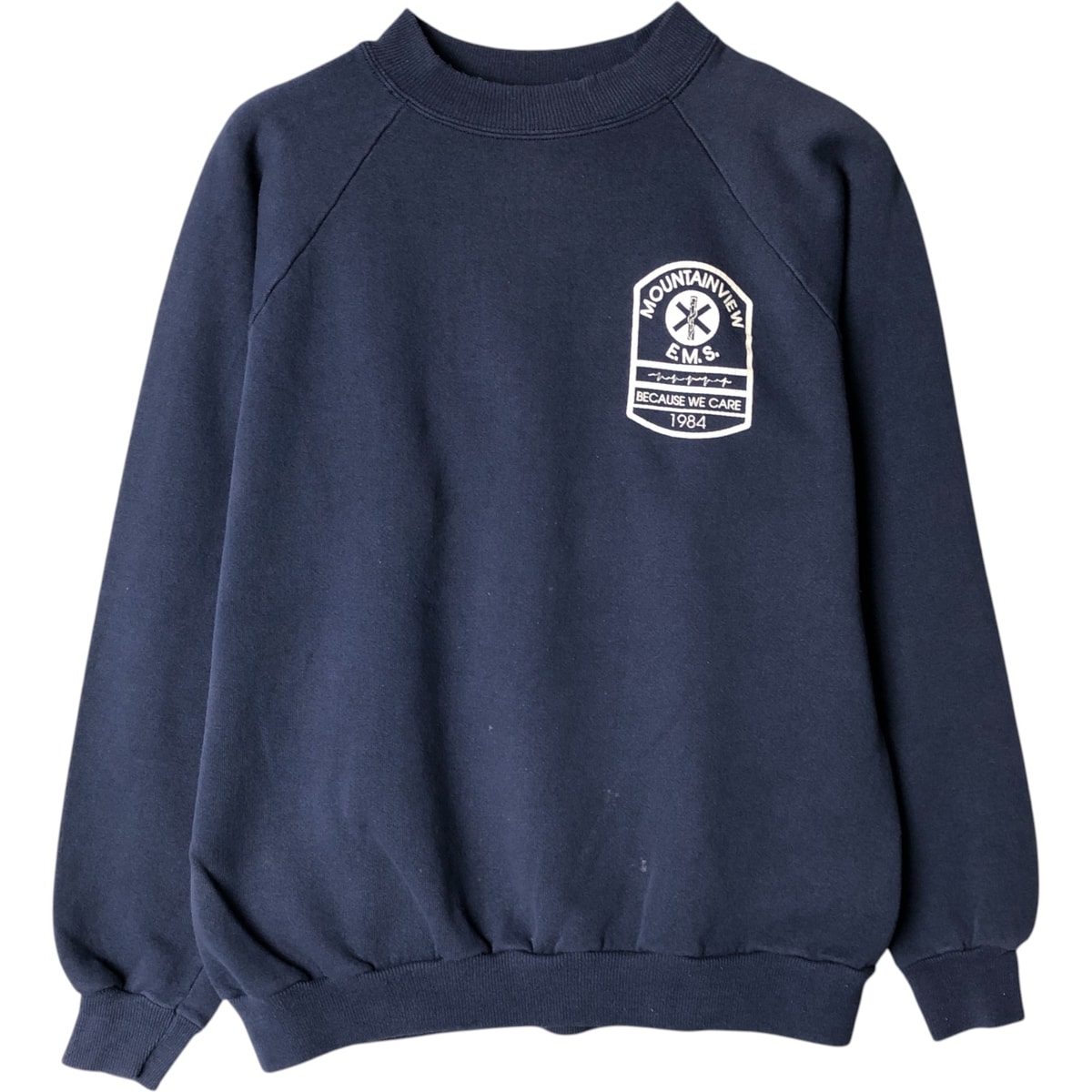 古着 90~00年代 ヘインズ Hanes ACTIVEWEAR プリントスウェットシャツ トレーナー メンズM相当 ヴィンテージ/eaa579415