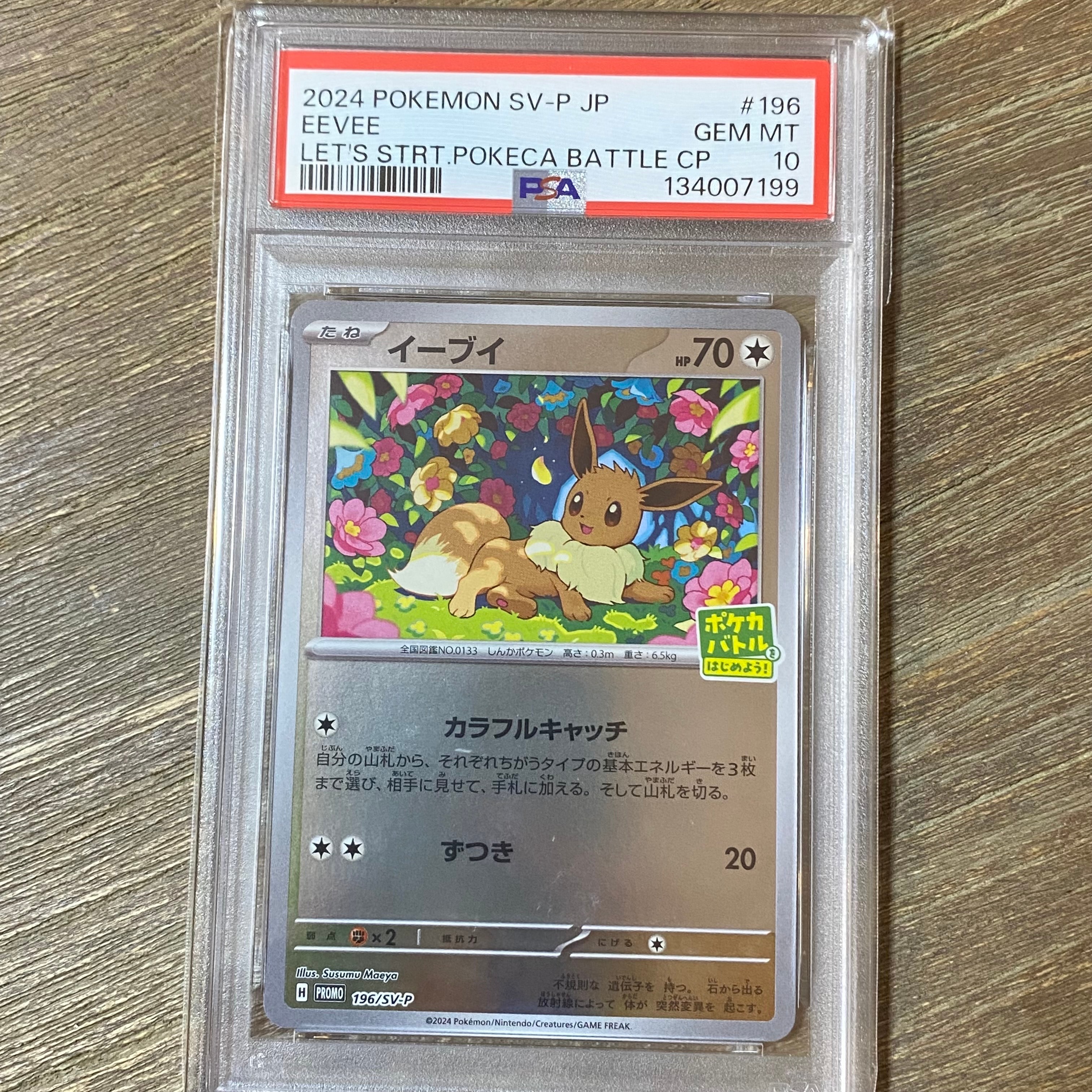 イーブイ P [SV-P-SM 196](プロモカードパック「ポケカバトルをはじめよう!キャンペーン」)