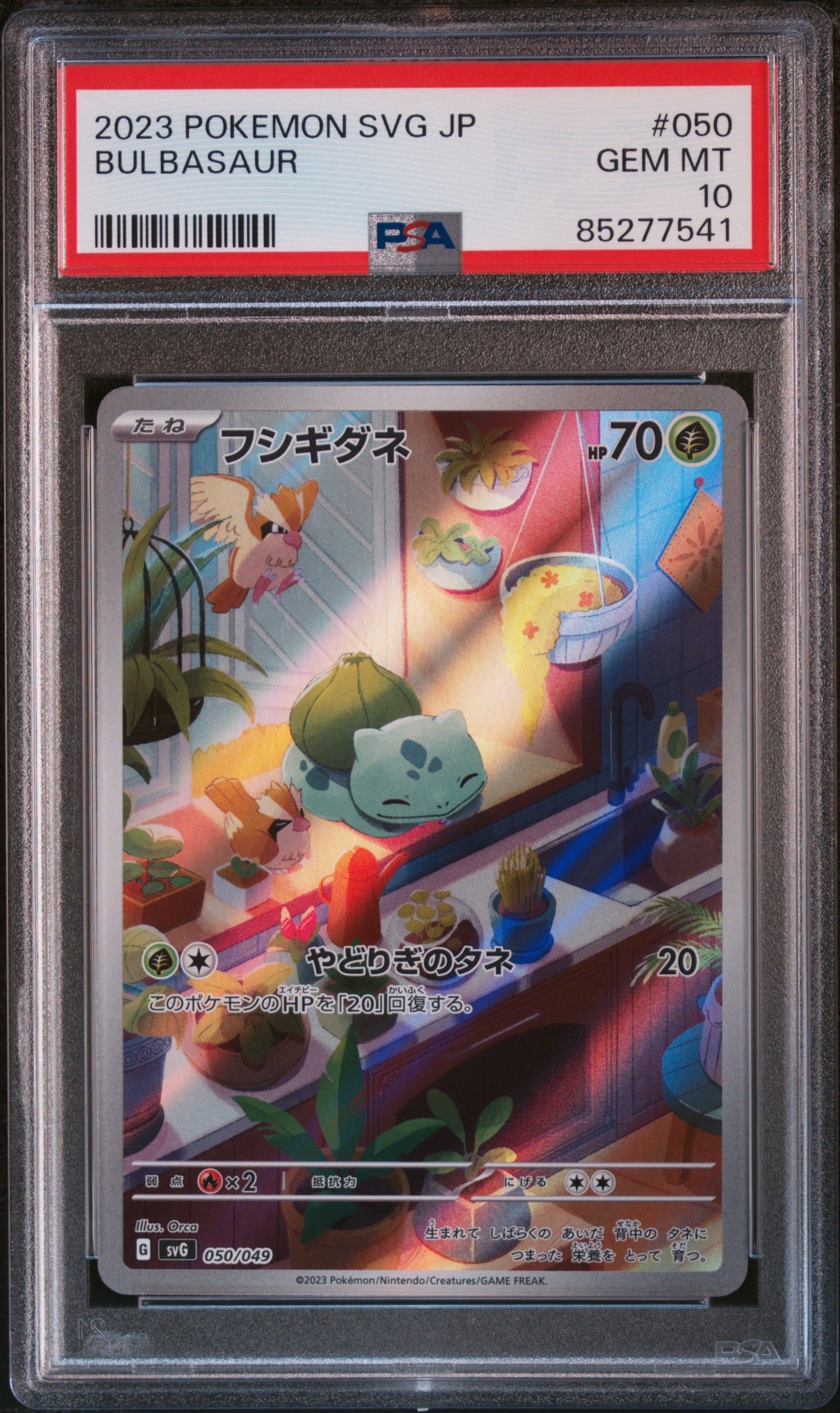 フシギダネ :フルイラスト [SVG 050/049](スペシャルデッキセットex「フシギバナ・リザードン・カメックス」)