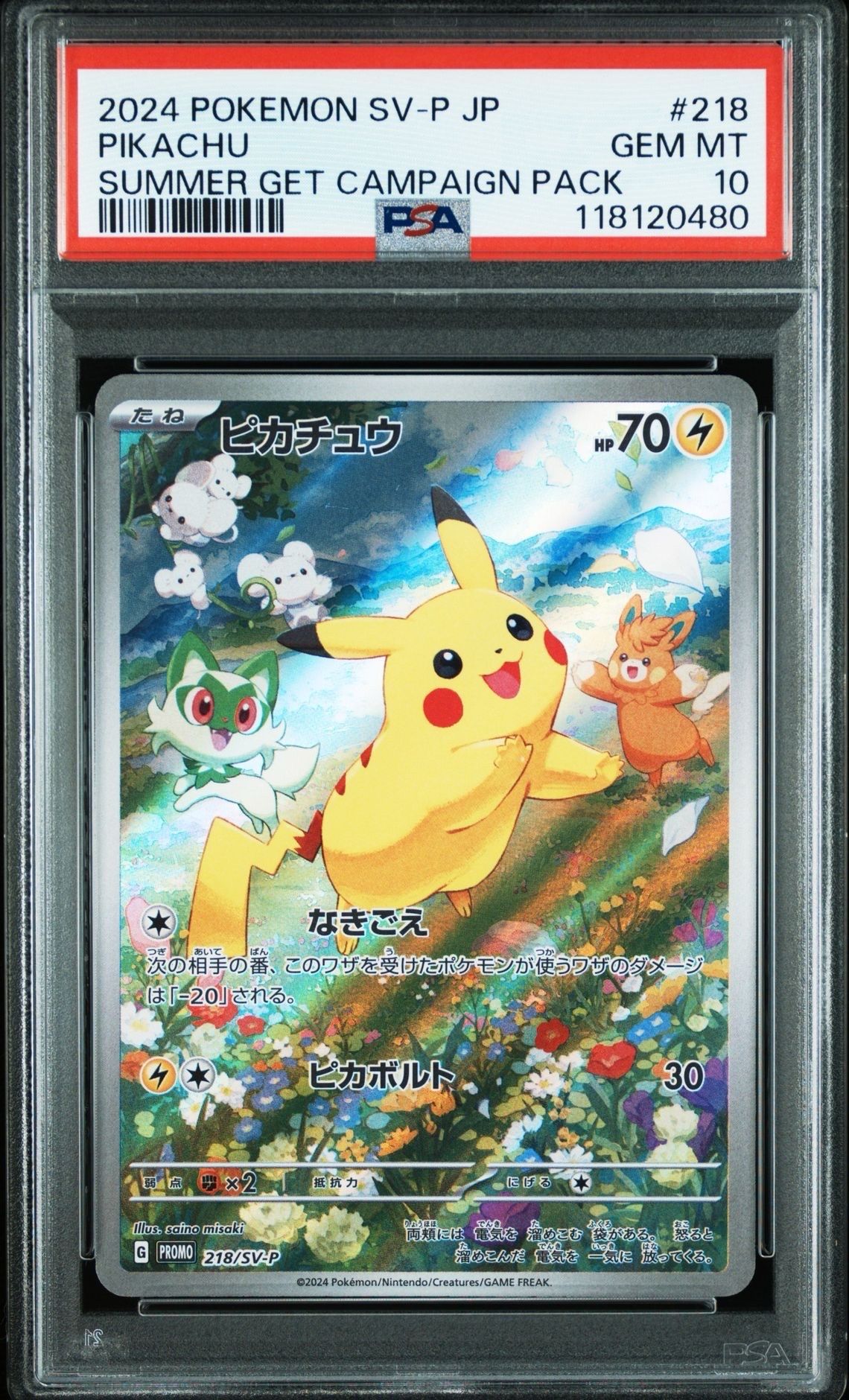 ピカチュウ P [SV-P 218](プロモカードパック「ポケカの夏がキタ!プロモカードGetキャンペーン!」)