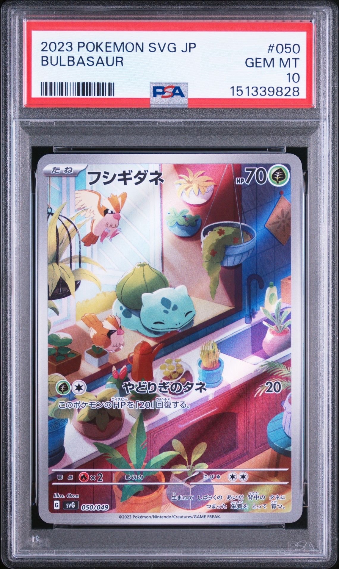 フシギダネ :フルイラスト [SVG 050/049](スペシャルデッキセットex「フシギバナ・リザードン・カメックス」)
