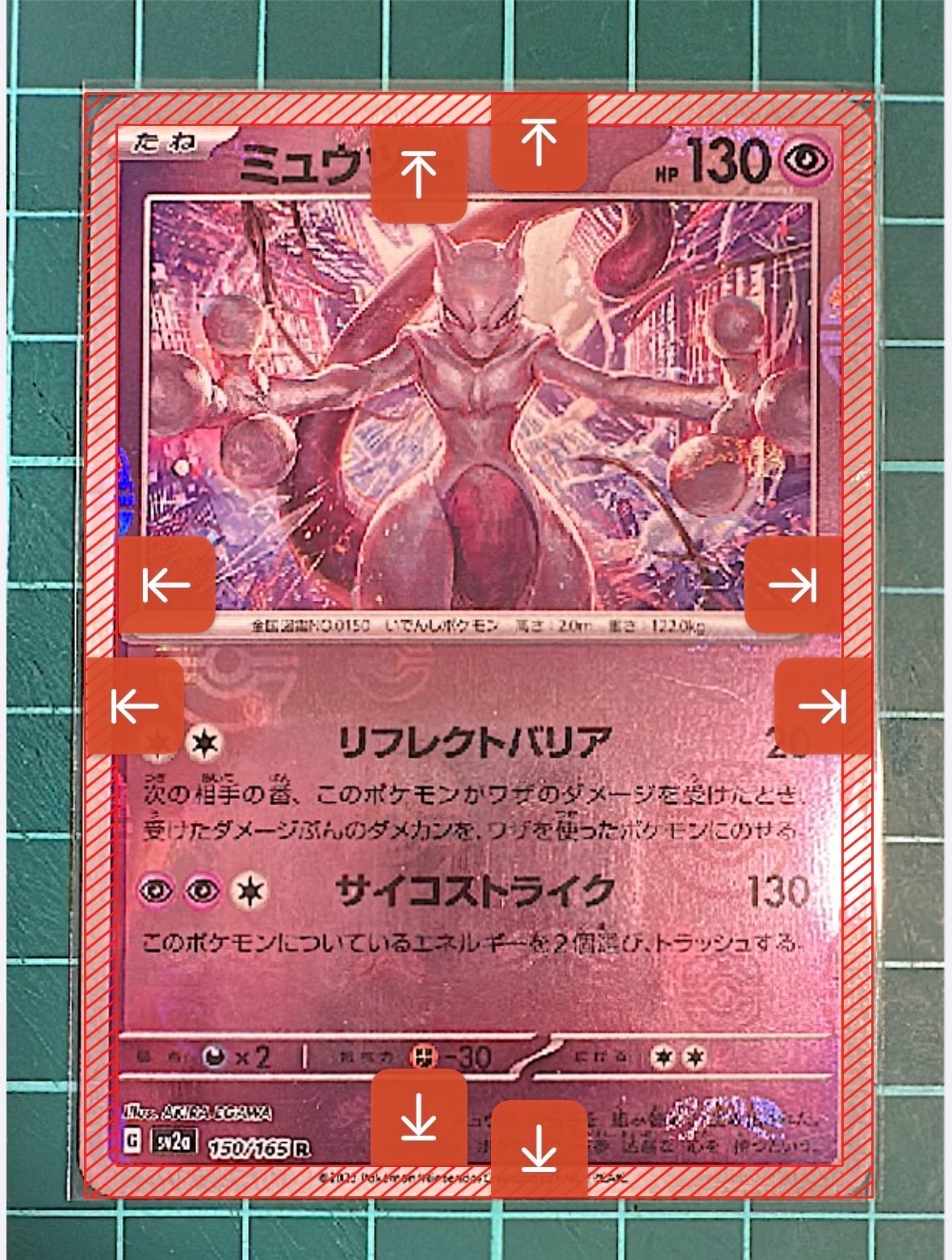 リオル P [M-P 022](プロモカードパック「マクドナルド ハッピーセット