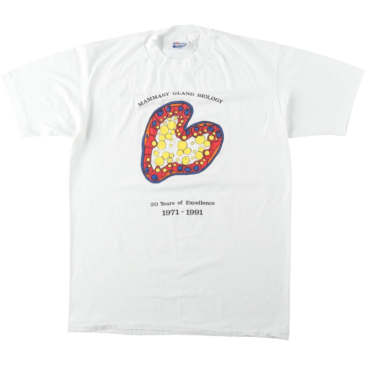 古着 80年代 ヘインズ Hanes Fifty-Fifty 青タグ プリントTシャツ USA製 メンズL相当 ヴィンテージ/eaa642165