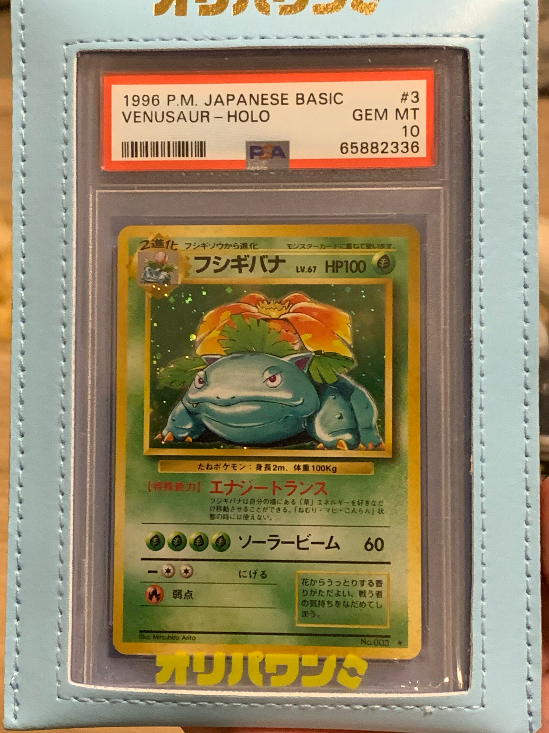 旧裏 フシギバナセット ポケモンカード旧裏 フシギバナセット