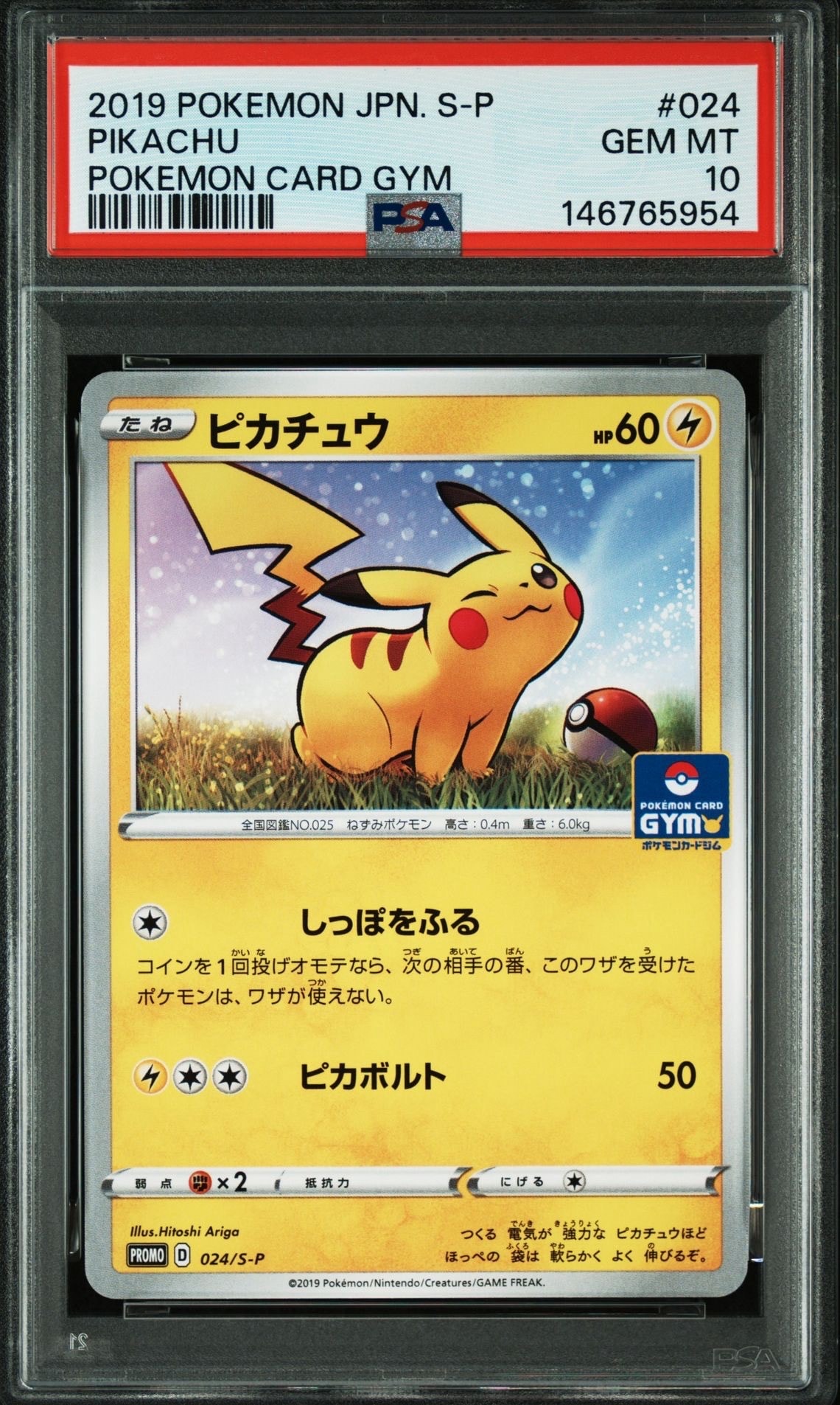 ピカチュウ: プロモ P [S-P 024](ポケモンカードゲーム ソード