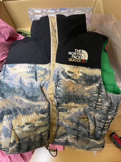 Gucci x The North Face 92 NUPTSE VEST "Multi"