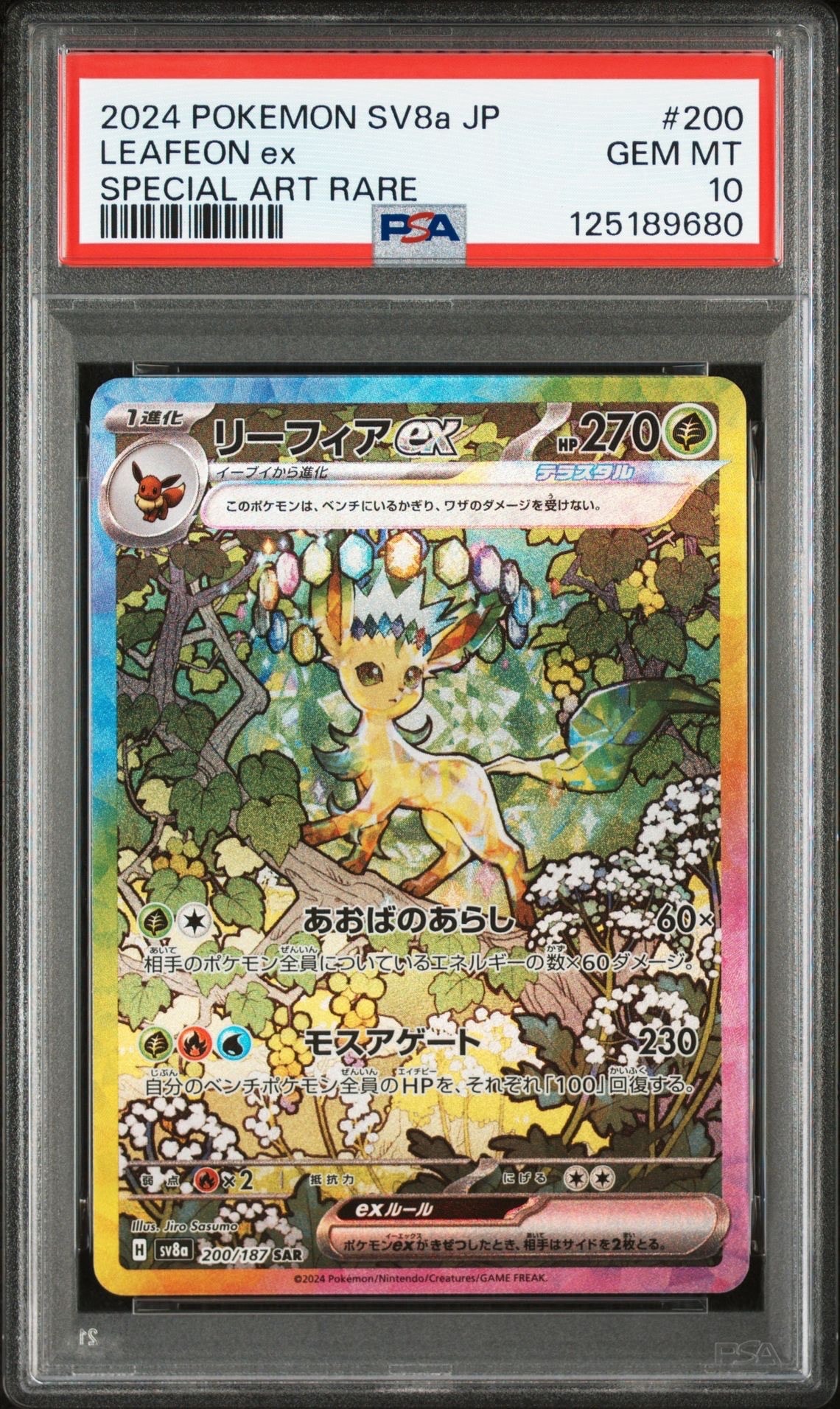 ポケモンだいすきクラブ SR :1ED [XY2 087/080](拡張パック「ワイルド