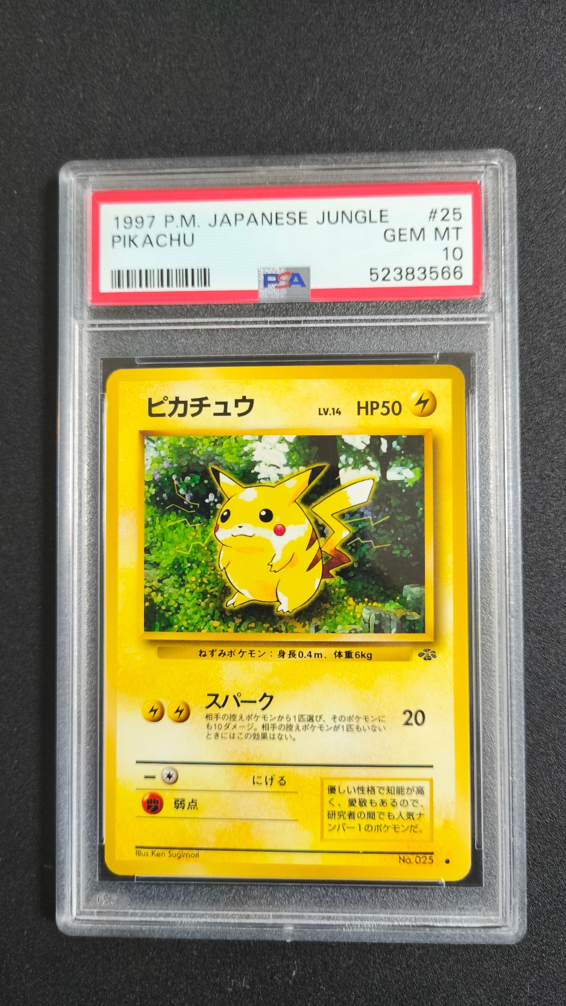 ピカチュウ ● : 旧裏 [PMCG2 No.025](拡張パック「ポケモンジャングル」)