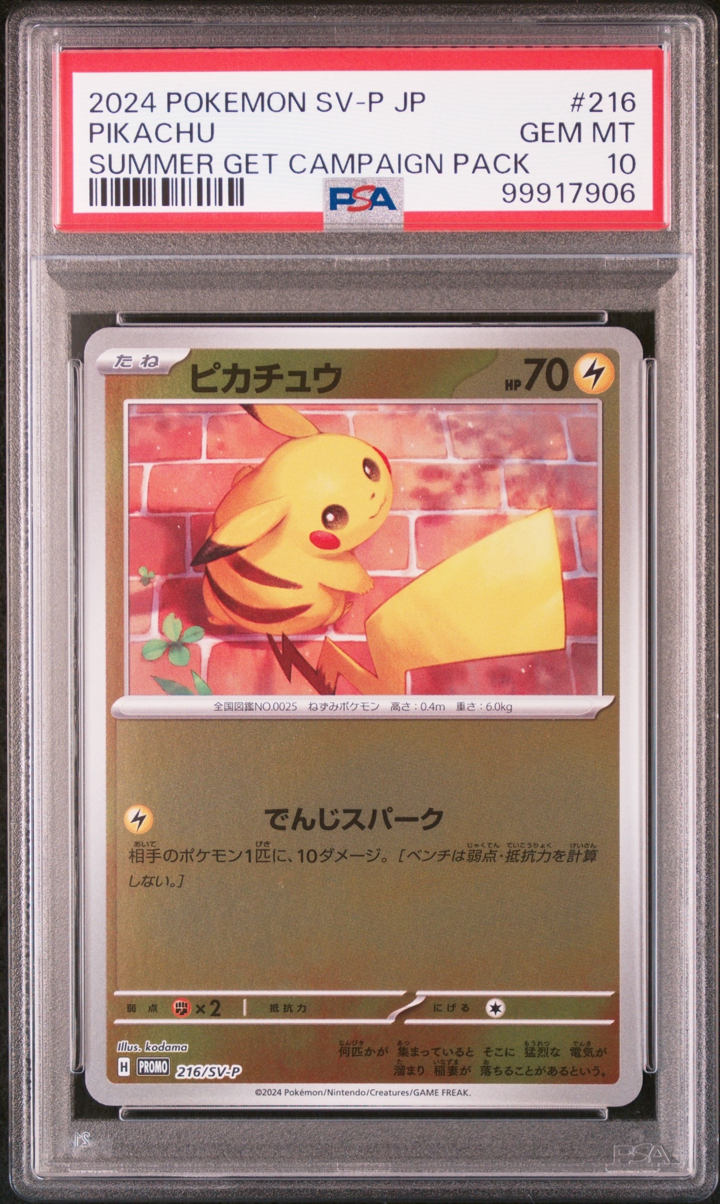 ピカチュウ P [SV-P 216](プロモカードパック「ポケカの夏がキタ!プロモカードGetキャンペーン!」)