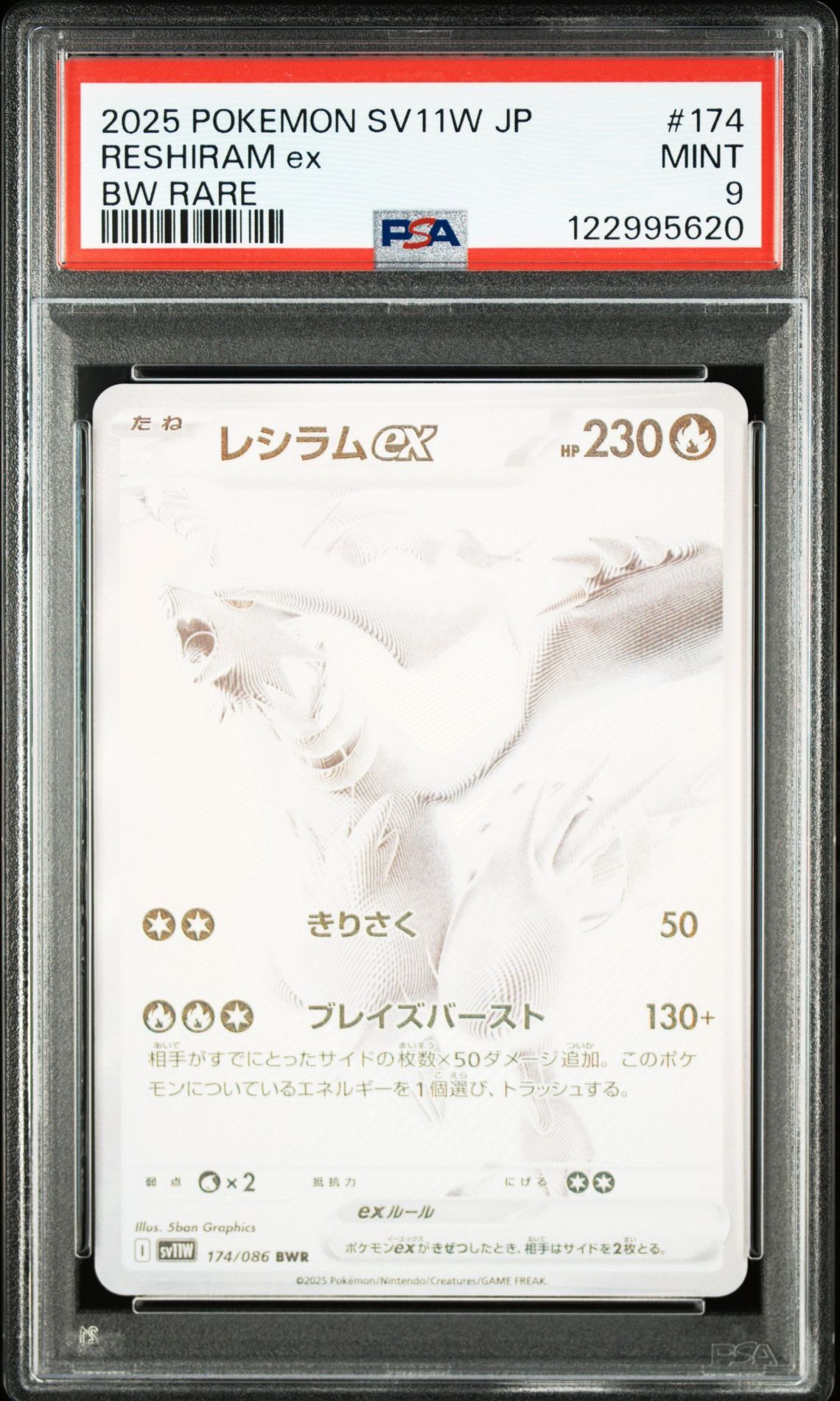 レシラムex BWR [SV11W 174/086](拡張パック「ホワイトフレア」)