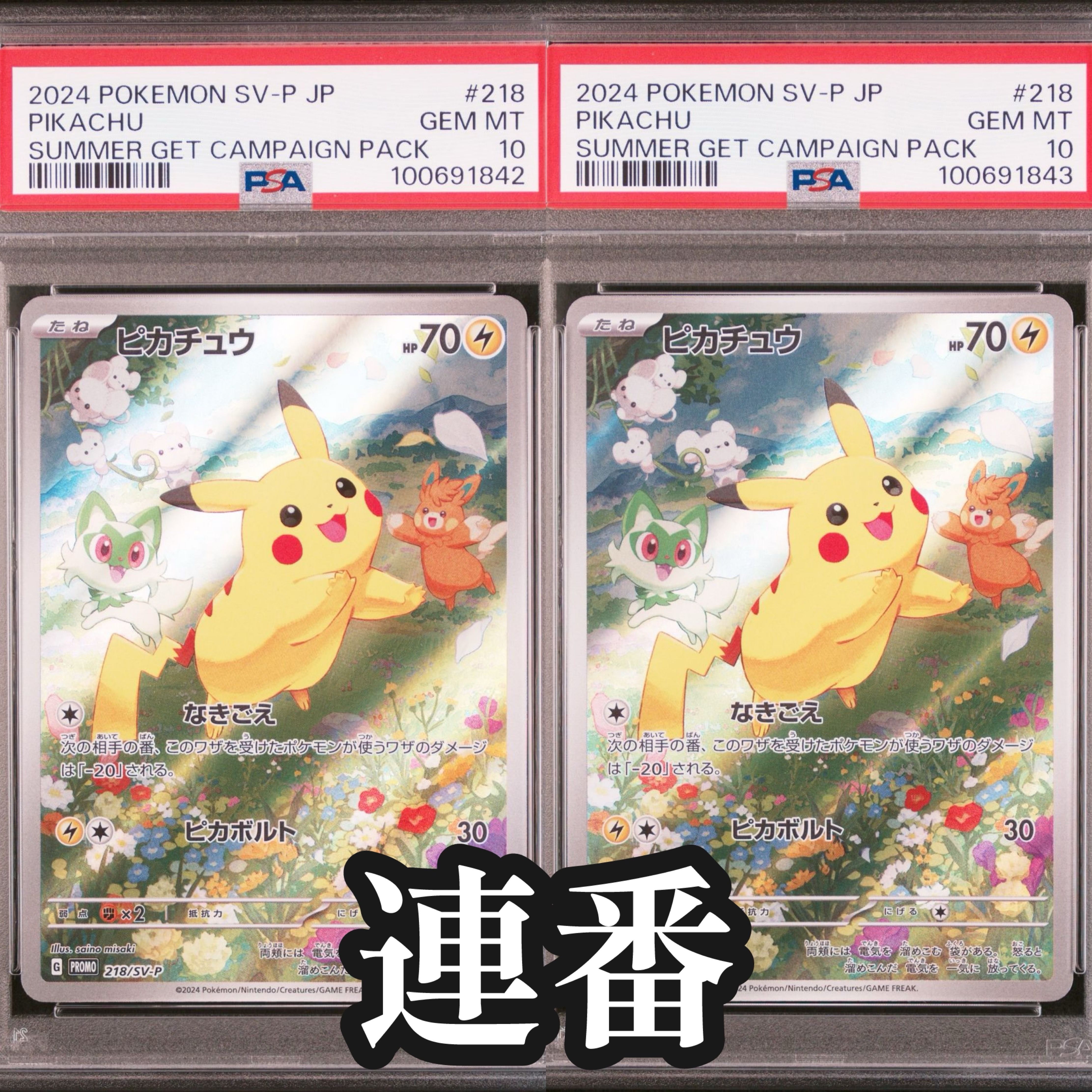 ピカチュウ P [SV-P 218](プロモカードパック「ポケカの夏がキタ!プロモカードGetキャンペーン!」)
