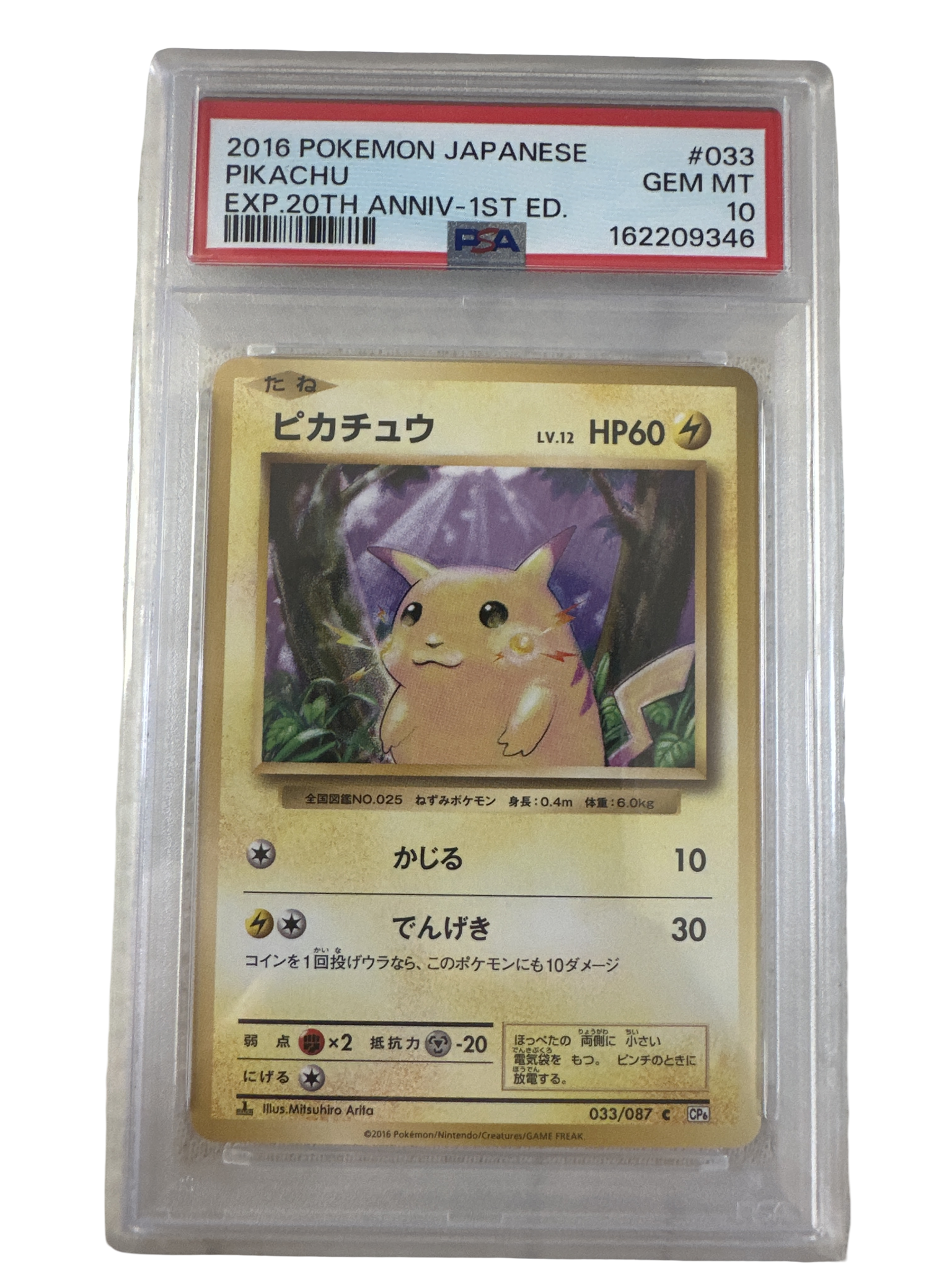 ピカチュウ C :1ED [CP6 033/087](コンセプトパック