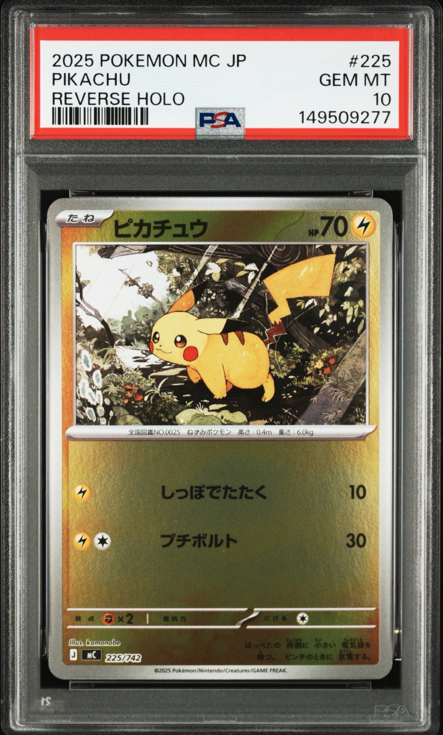 海で遊ぶピカチュウ: プロモ [SM-P 392](プロモーションカード「SM-P