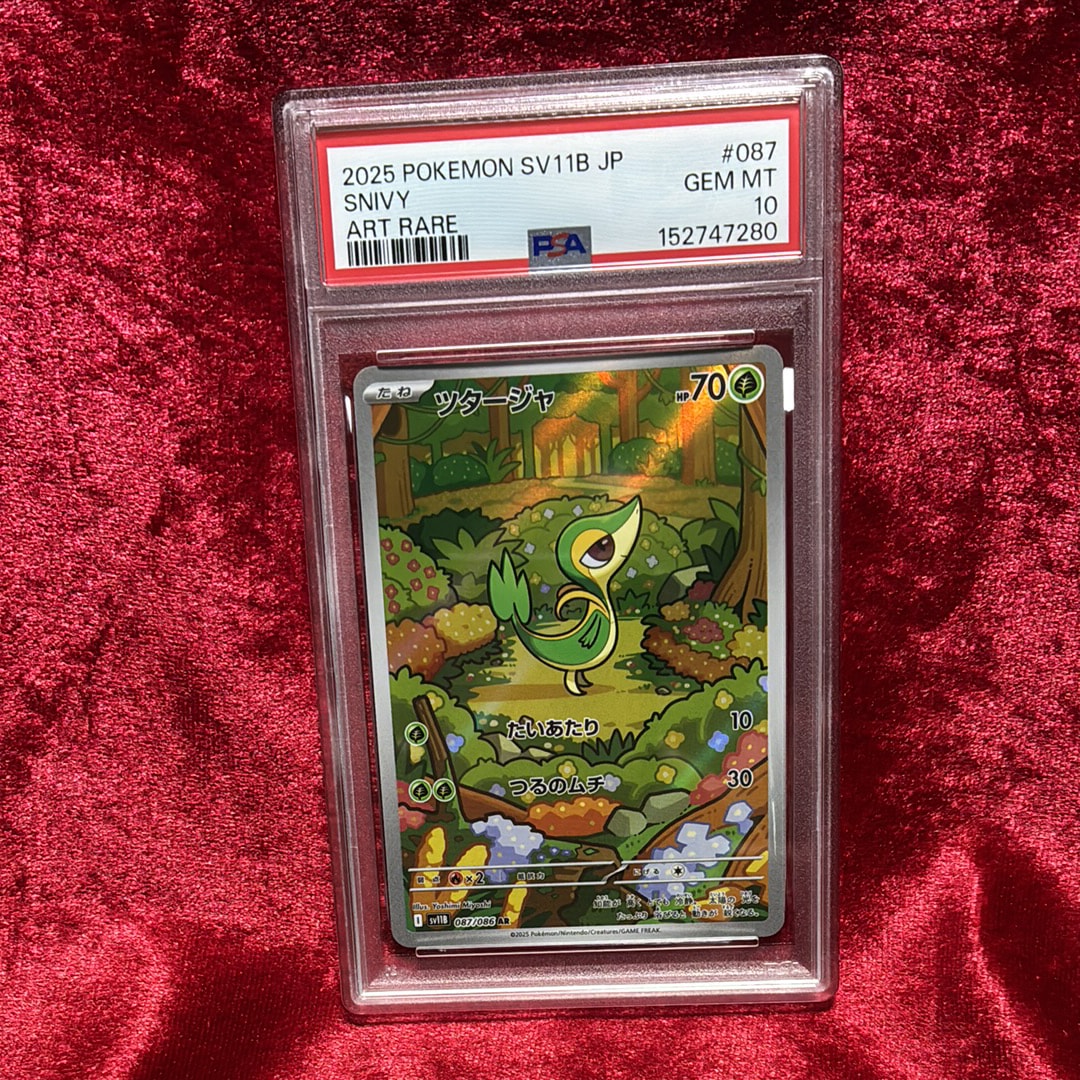PSA10 ツタージャ AR 087/086 ツタージャ AR [SV11B 087/086](拡張パック「ブラックボルト」)通販