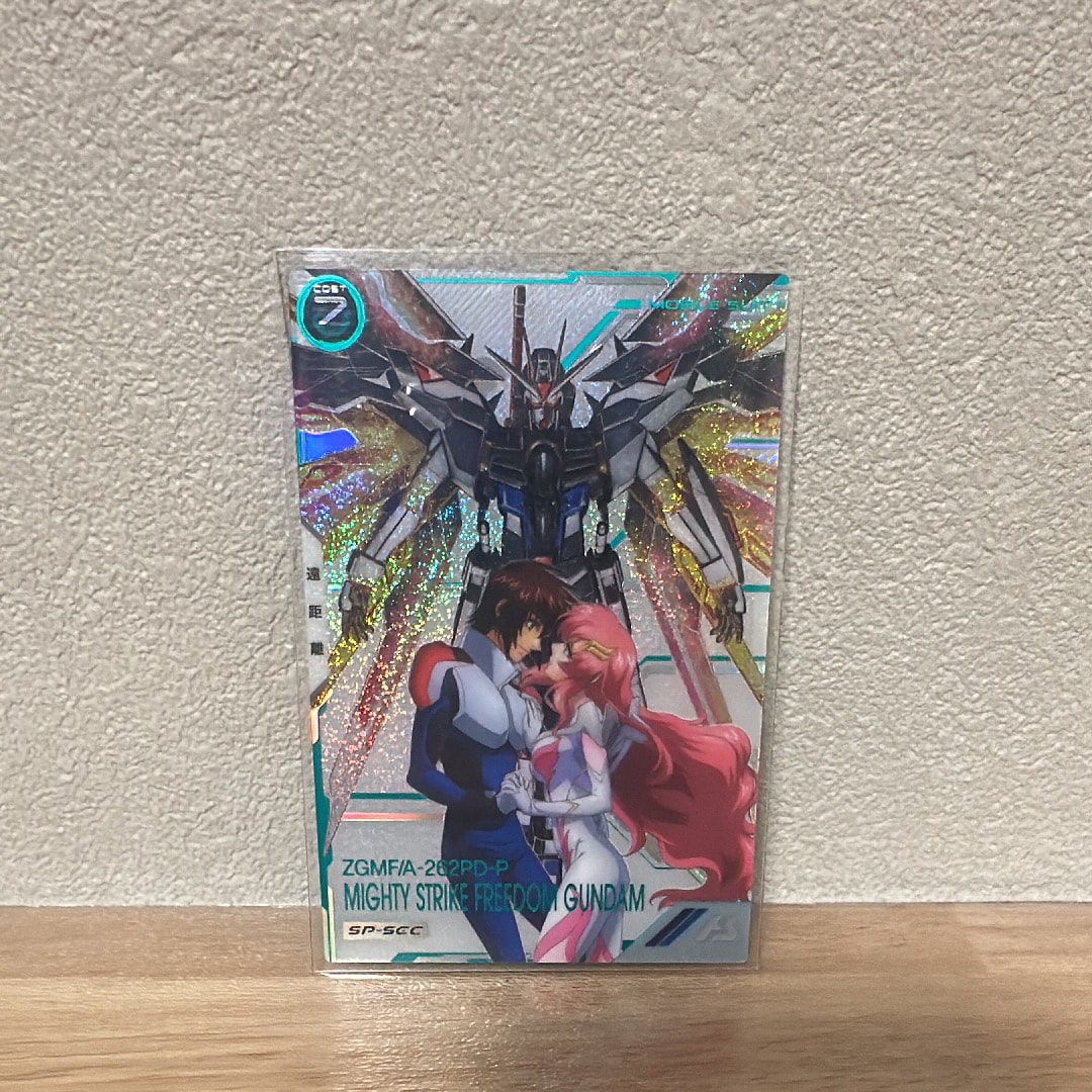 ZGMF-X42S デスティニーガンダム M [FQ02-021](機動戦士ガンダム