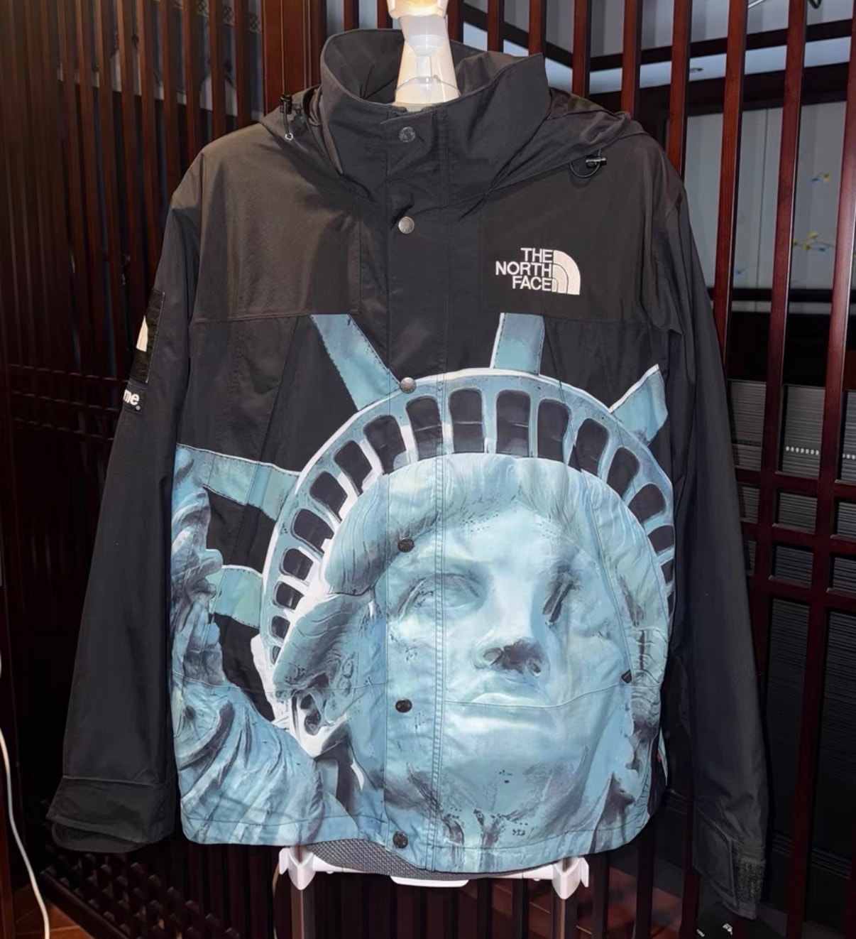 Supreme x The North Face Statue of Liberty Mountain Jacket 
