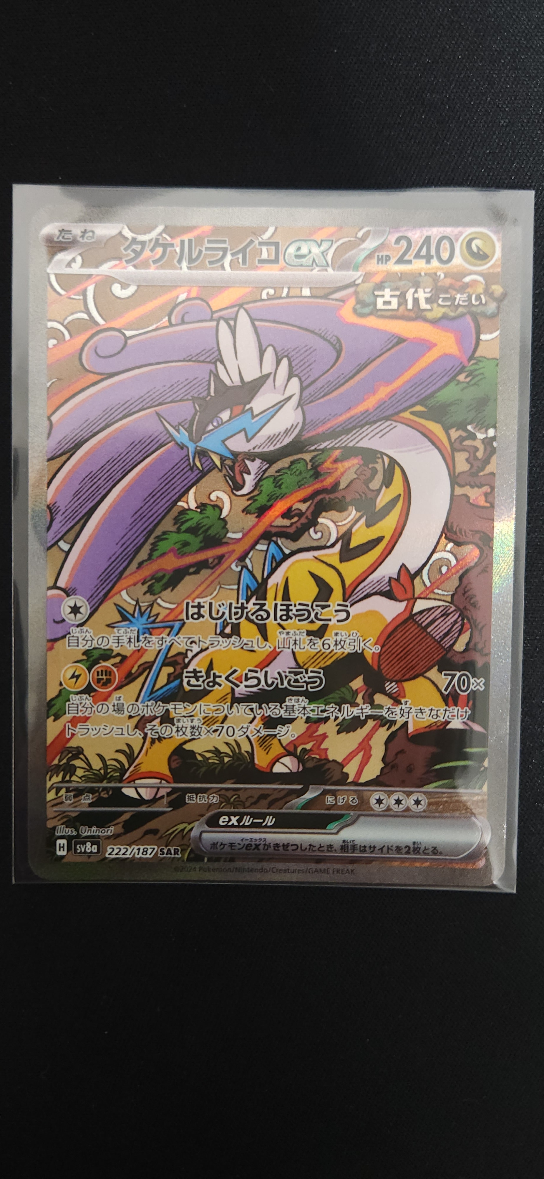 タケルライコex SAR [SV8a 222/187](ハイクラスパック「テラスタル