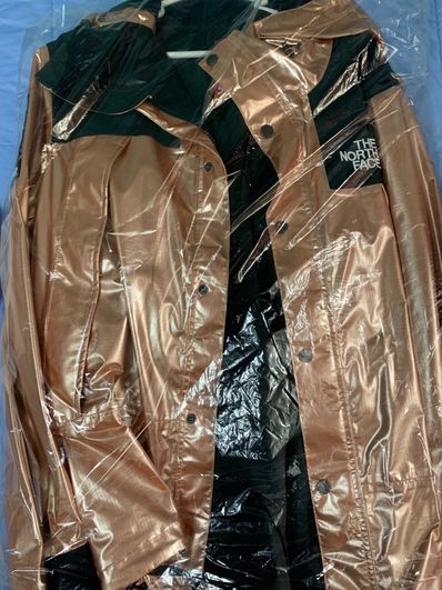Supreme x The North Face Metallic Mountain Parka "Pink"