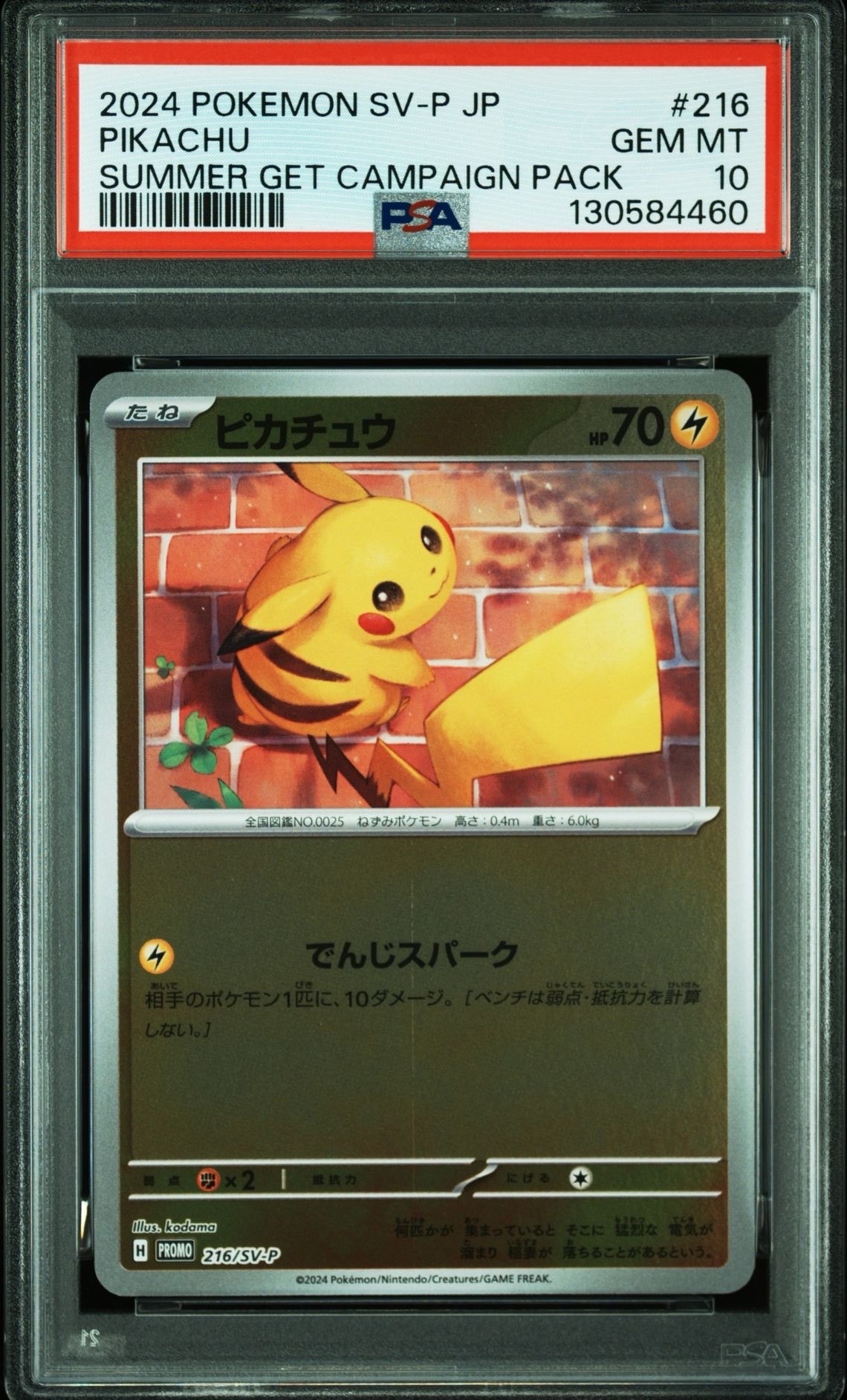 ピカチュウ P [SV-P 216](プロモカードパック「ポケカの夏がキタ!プロモカードGetキャンペーン!」)