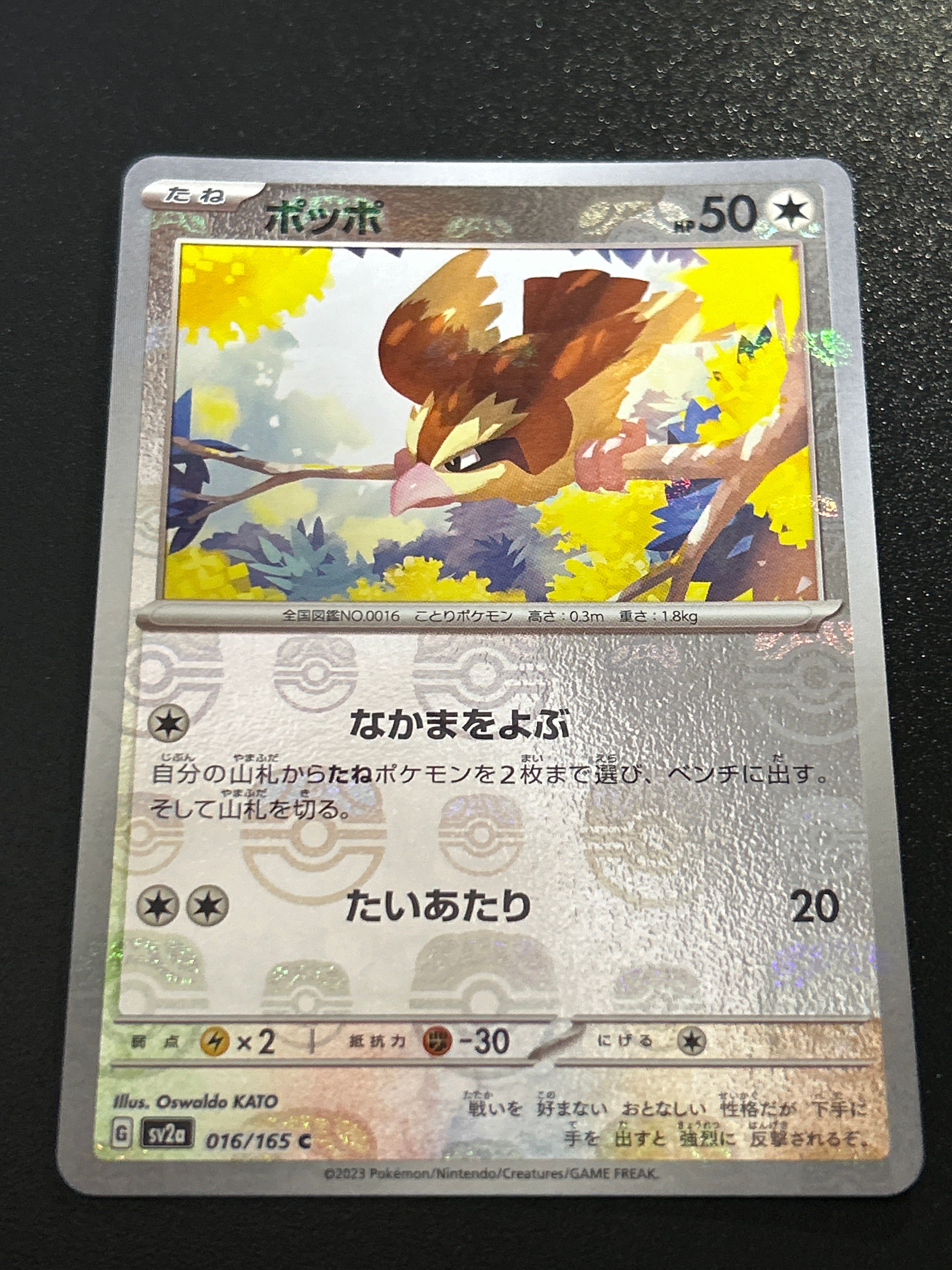 ポッポ C: マスターボールミラー[SV2a 016/165](強化拡張パック「ポケモンカード151」)