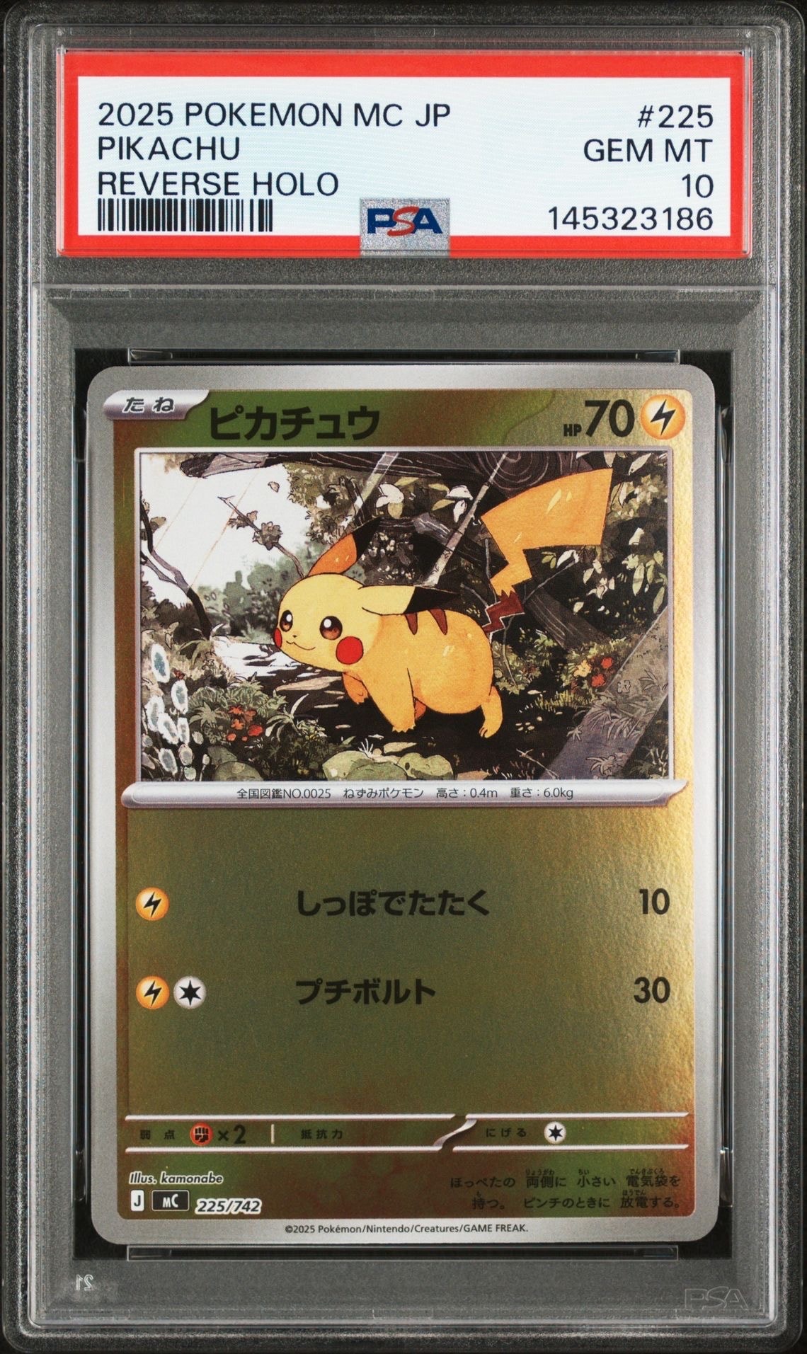 ブラッキーex SAR [SV8a 217/187](ハイクラスパック「テラスタルフェス