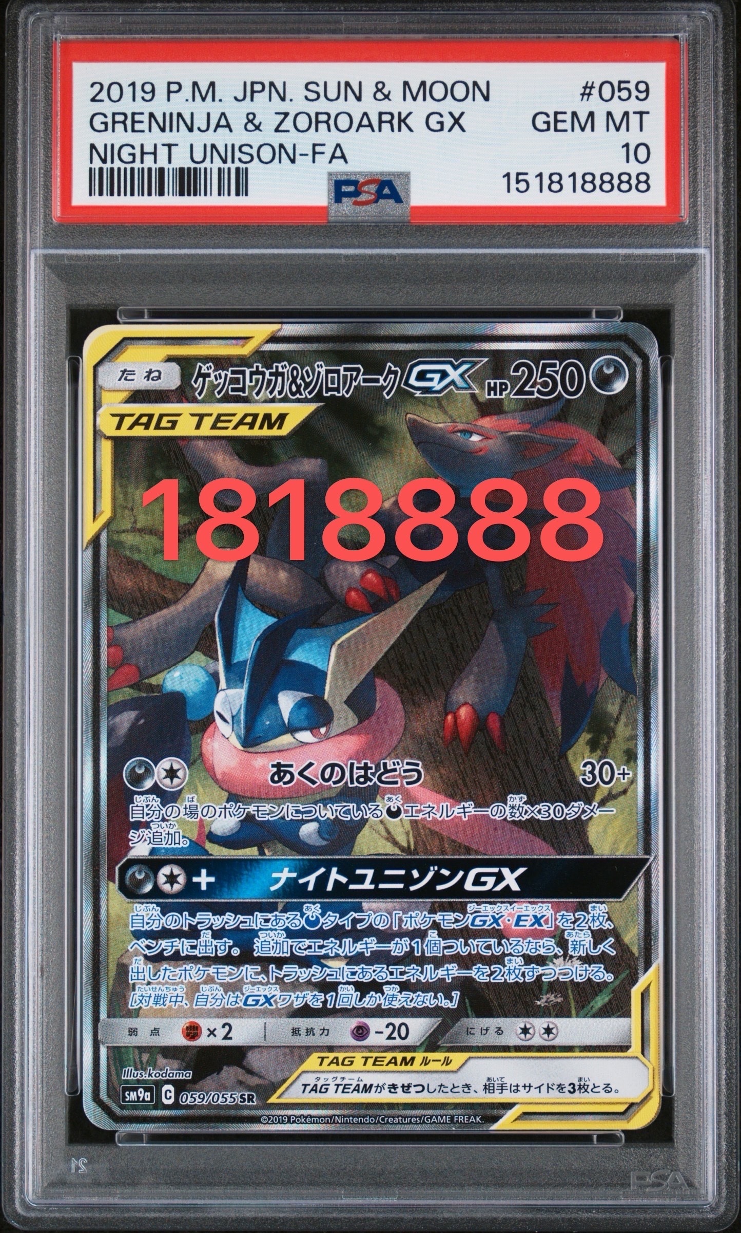 ゲッコウガ&ゾロアークGX SR: SA[SM9a 059/055](強化拡張パック