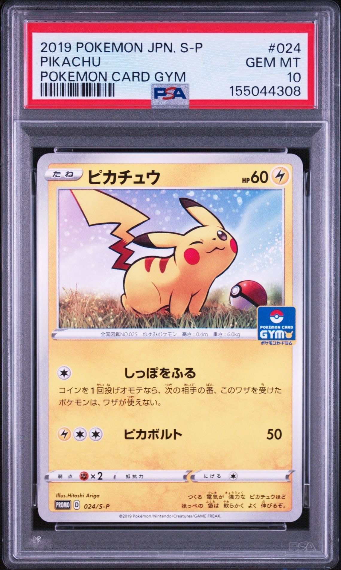 ピカチュウ: プロモ P [S-P 024](ポケモンカードゲーム ソード