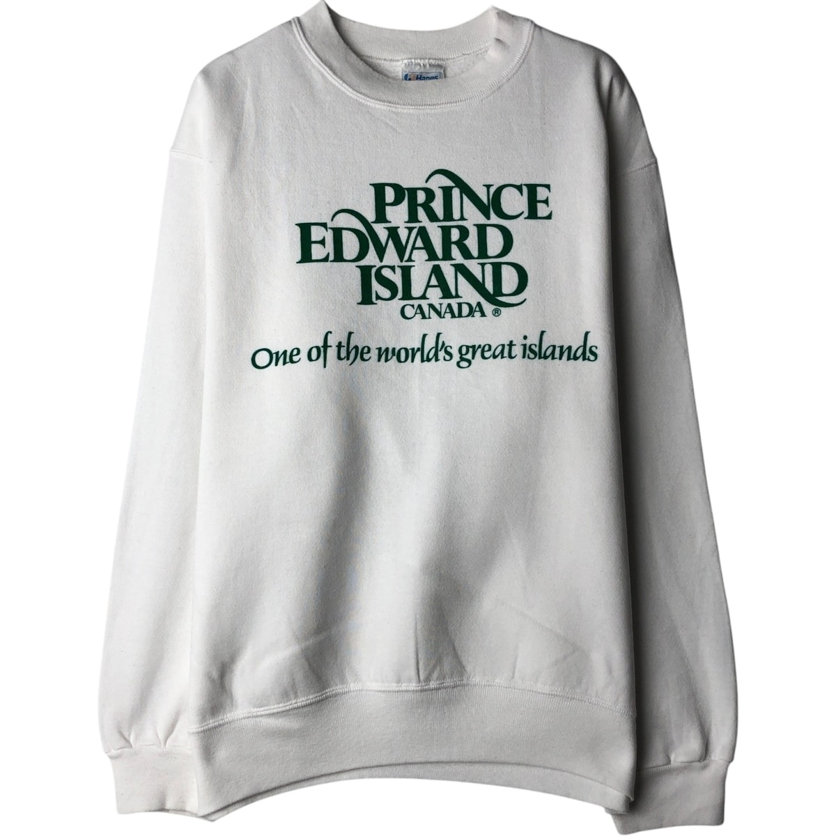 古着 80年代 ヘインズ Hanes Fifty-Fifty 青タグ プリントスウェットシャツ トレーナー USA製 メンズL相当 ヴィンテージ/eaa629859