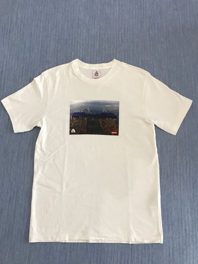 Supreme Nike ACG Grid Tee "White"